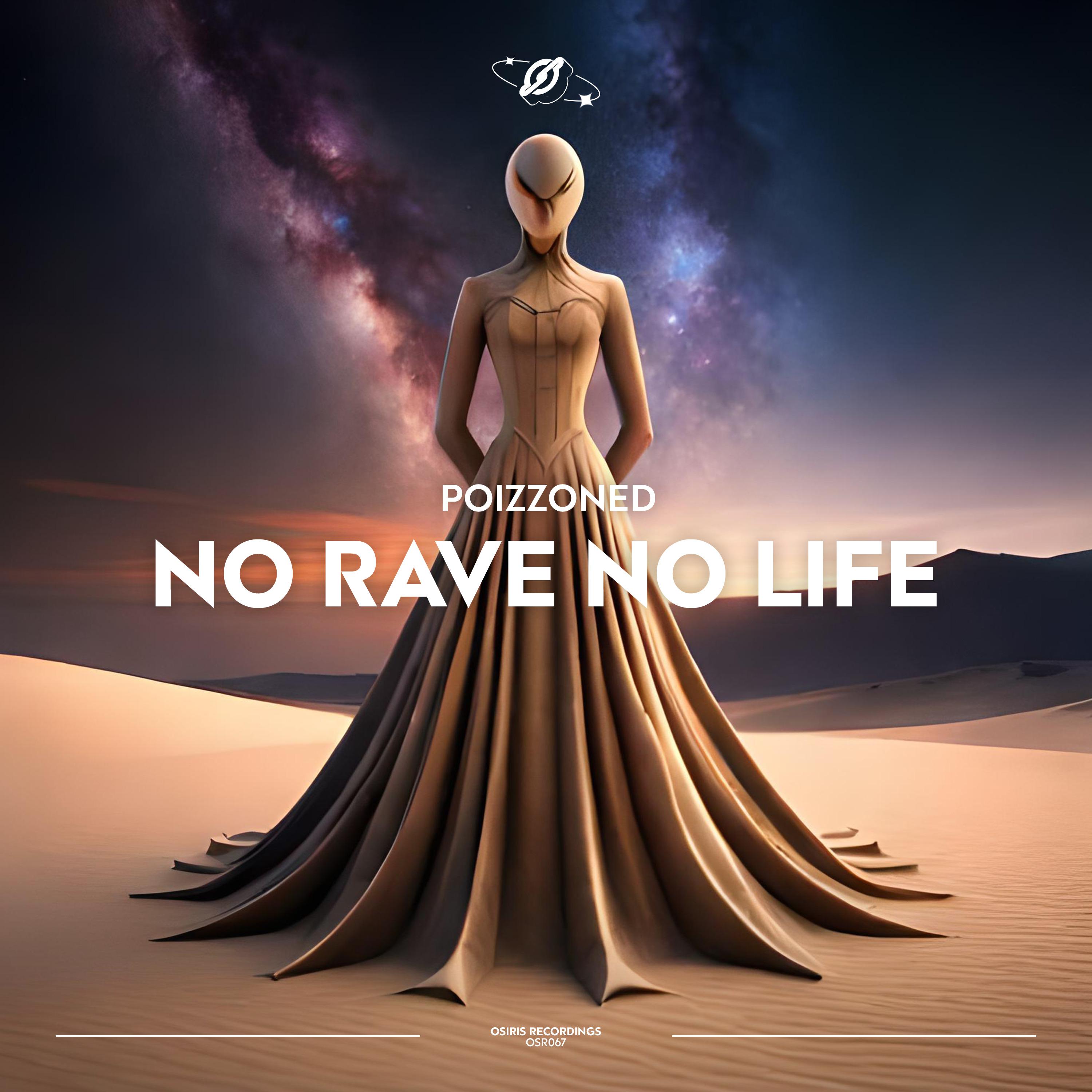 Постер альбома No Rave No Life