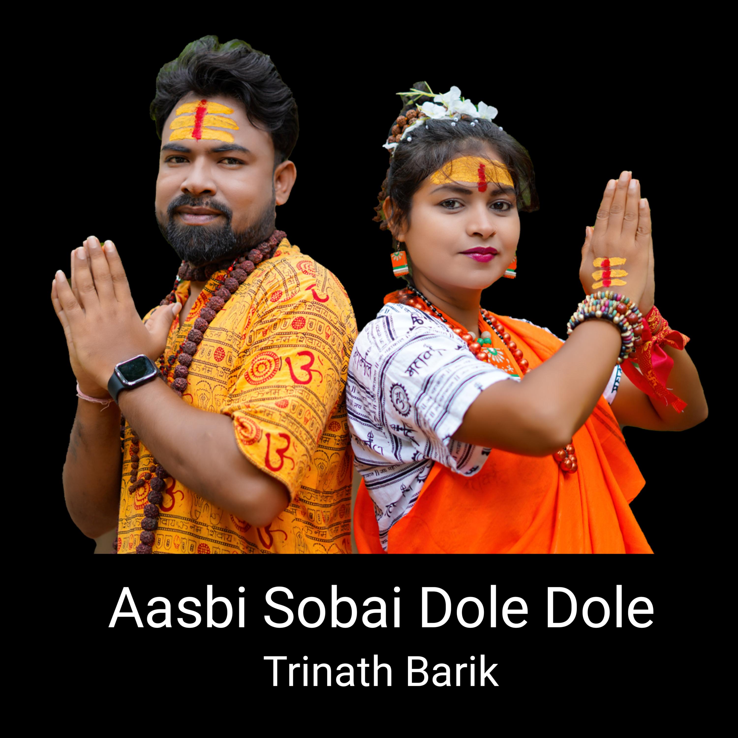 Постер альбома Aasbi Sobai Dole Dole