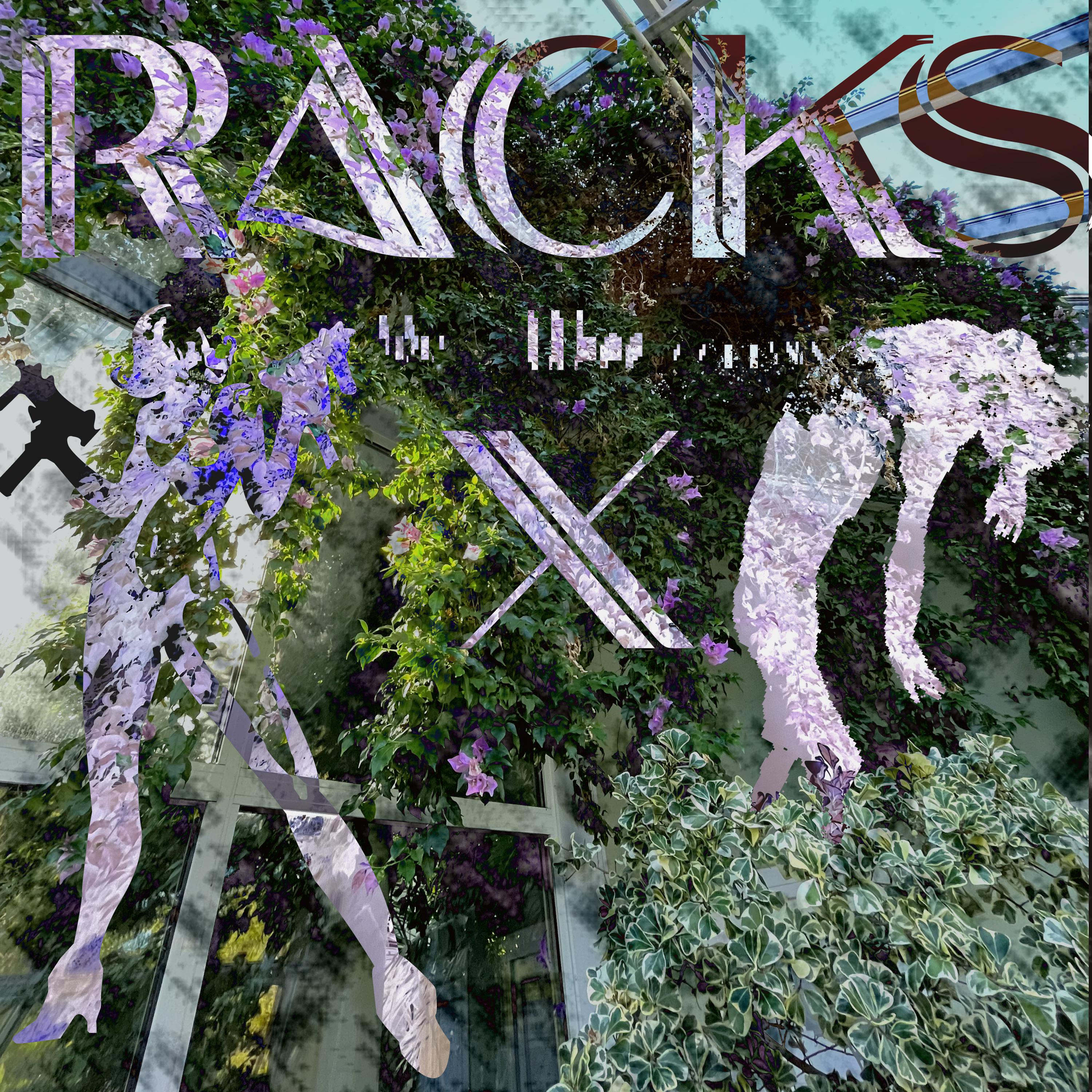 Постер альбома Racks X
