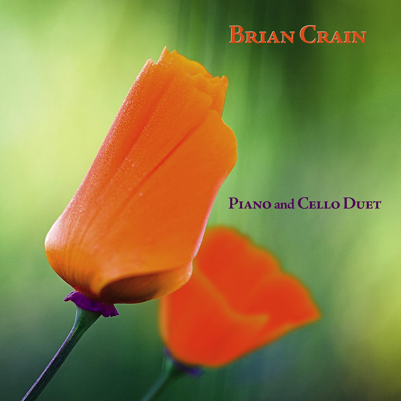 Brian Crain - Kindred Spirits