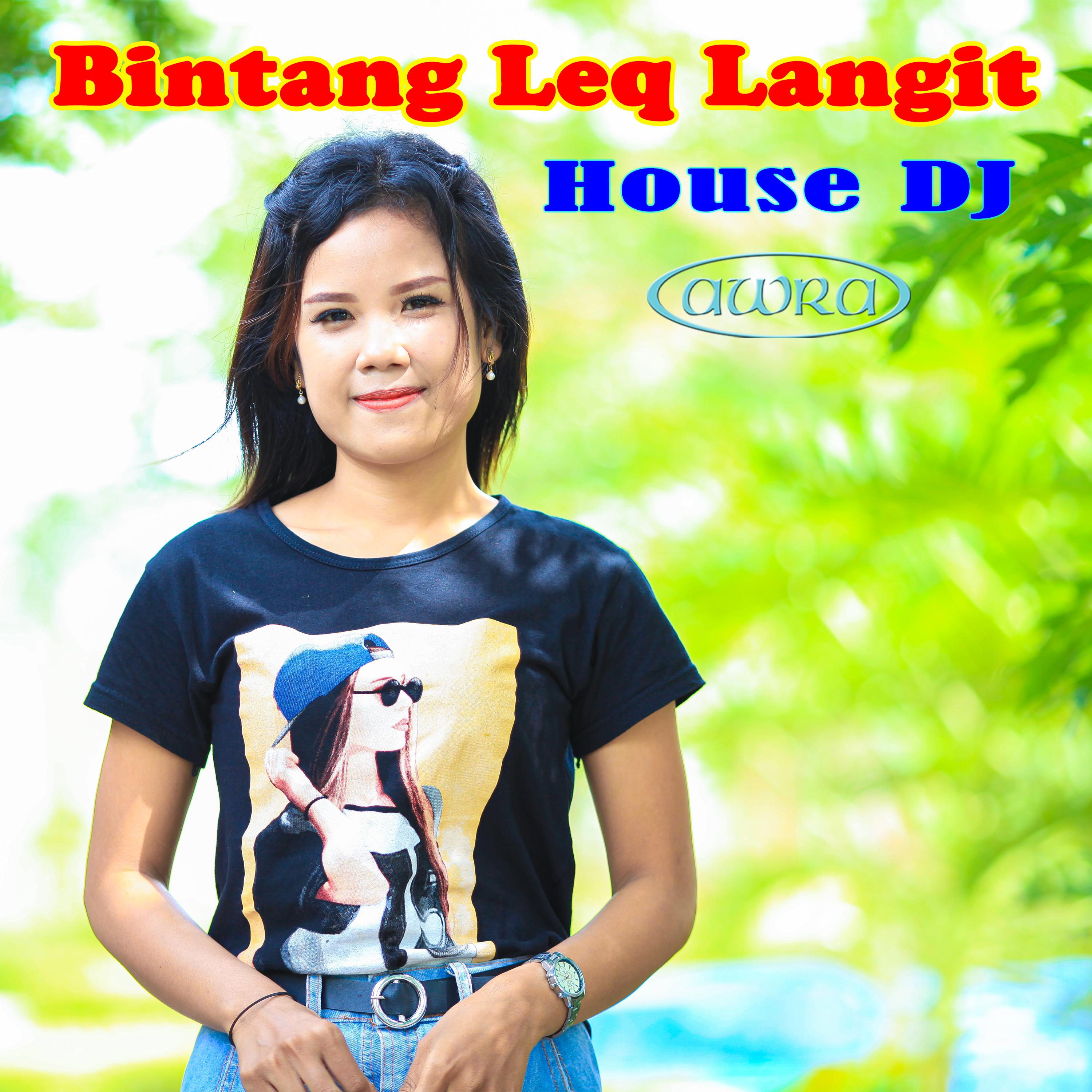 Постер альбома Bintang Leq Langit House DJ