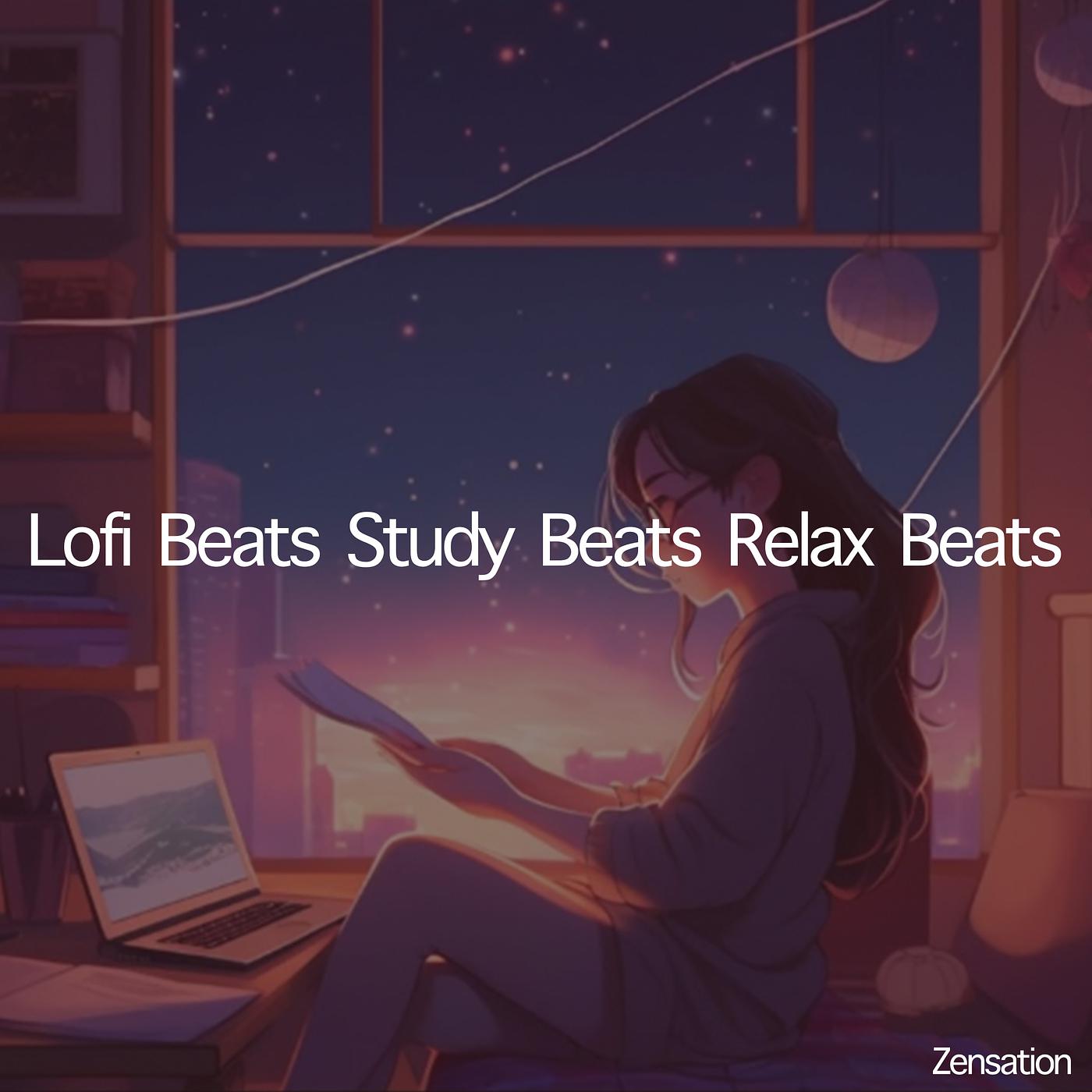Постер альбома Lofi Beats Study Beats Relax Beats