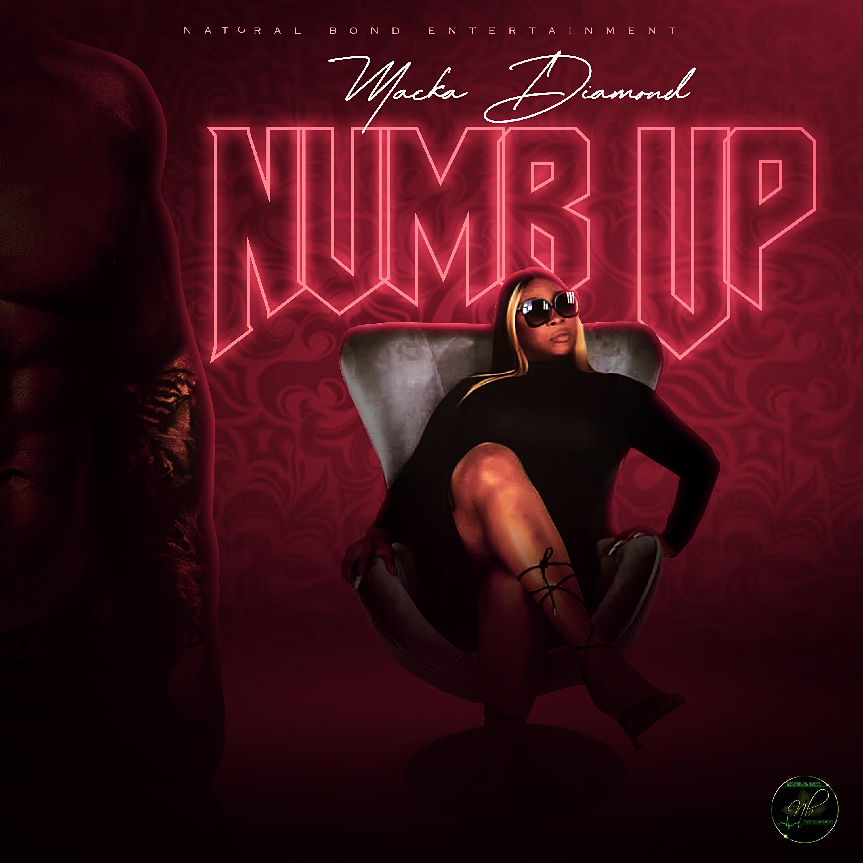 Постер альбома Numb Up