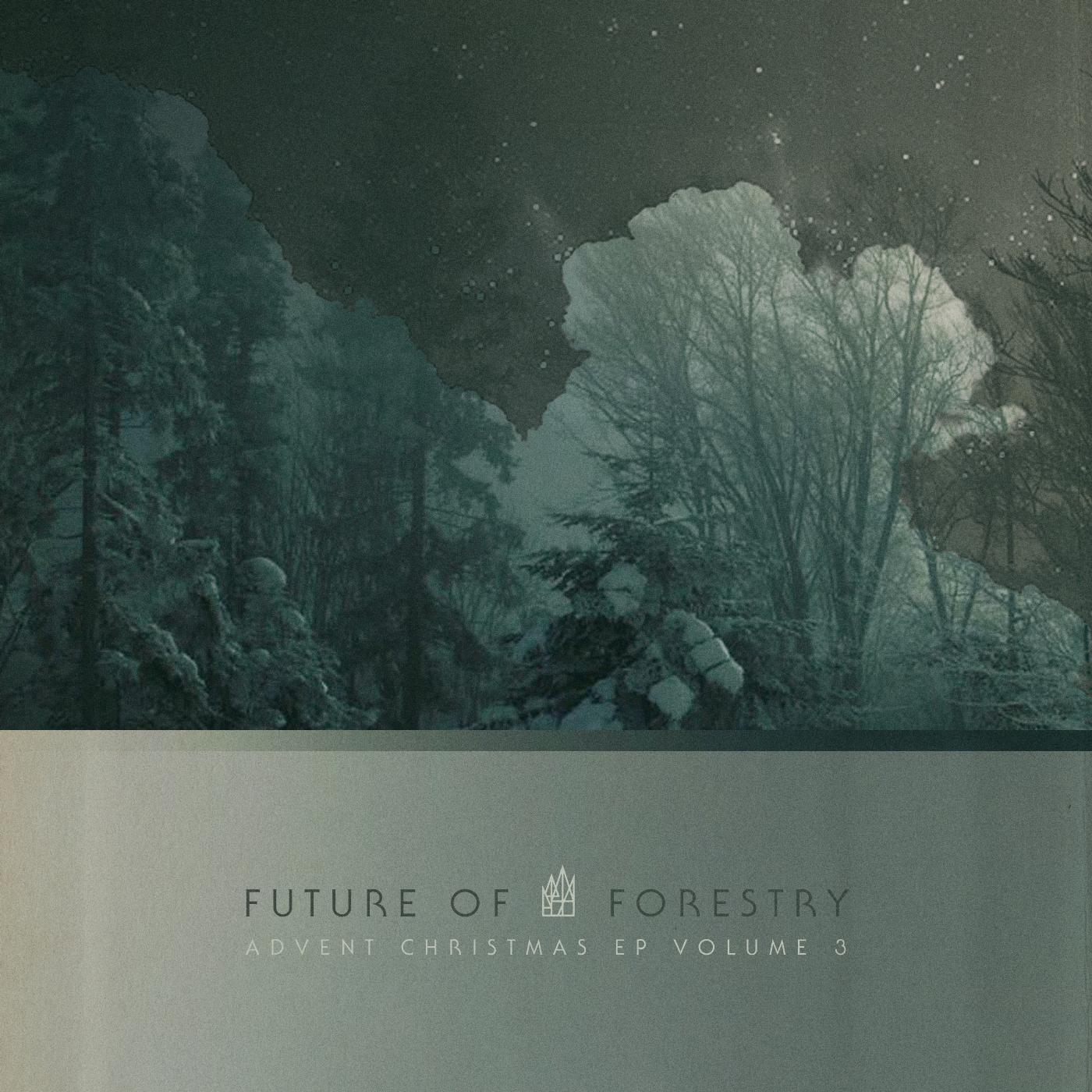 Future of Forestry - Silent Night
