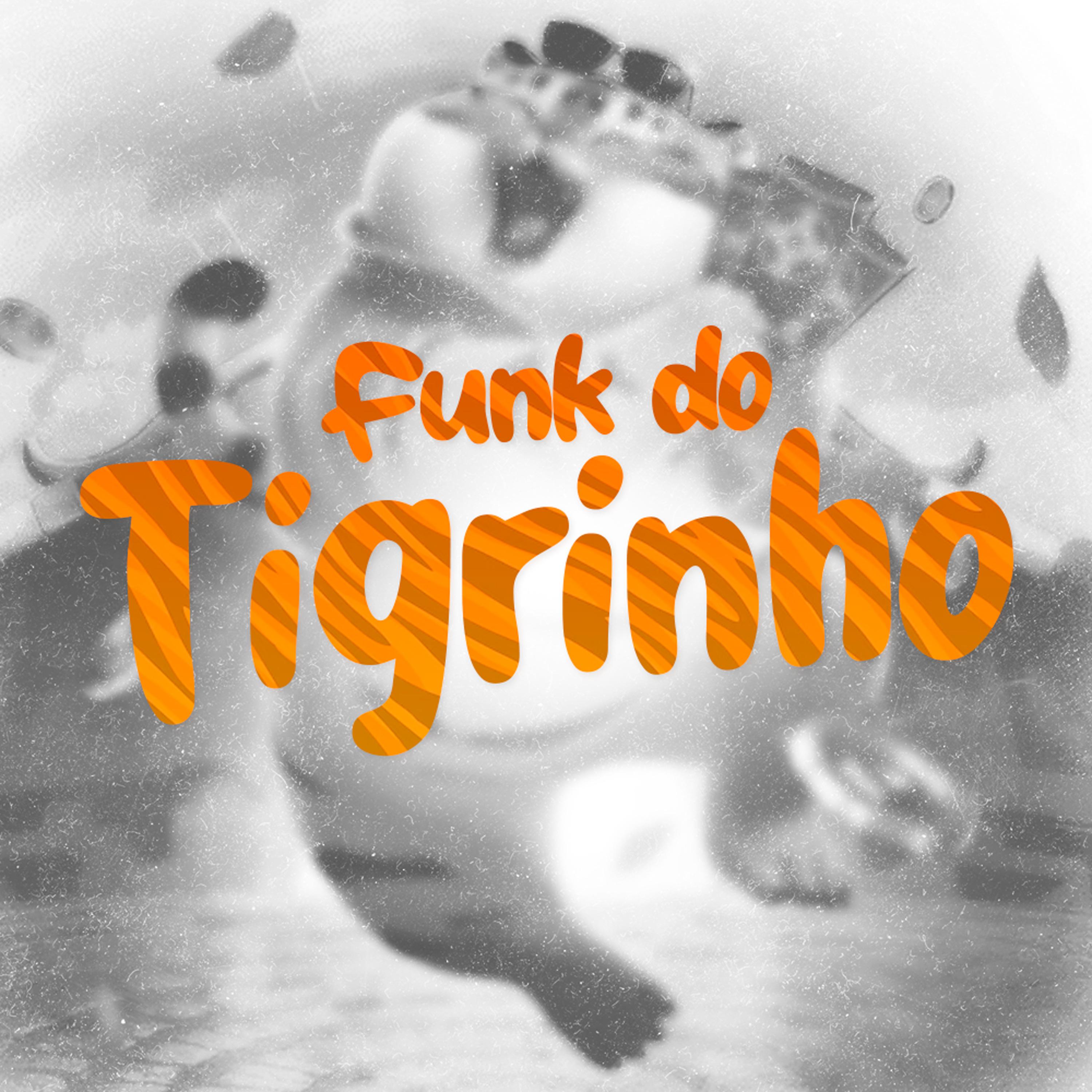 Постер альбома Funk do Tigrinho (Tropa do Drope)