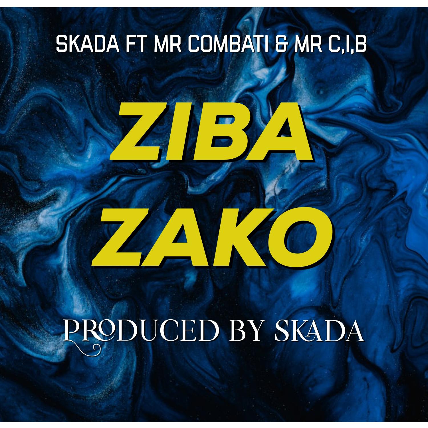 Постер альбома Ziba Zako