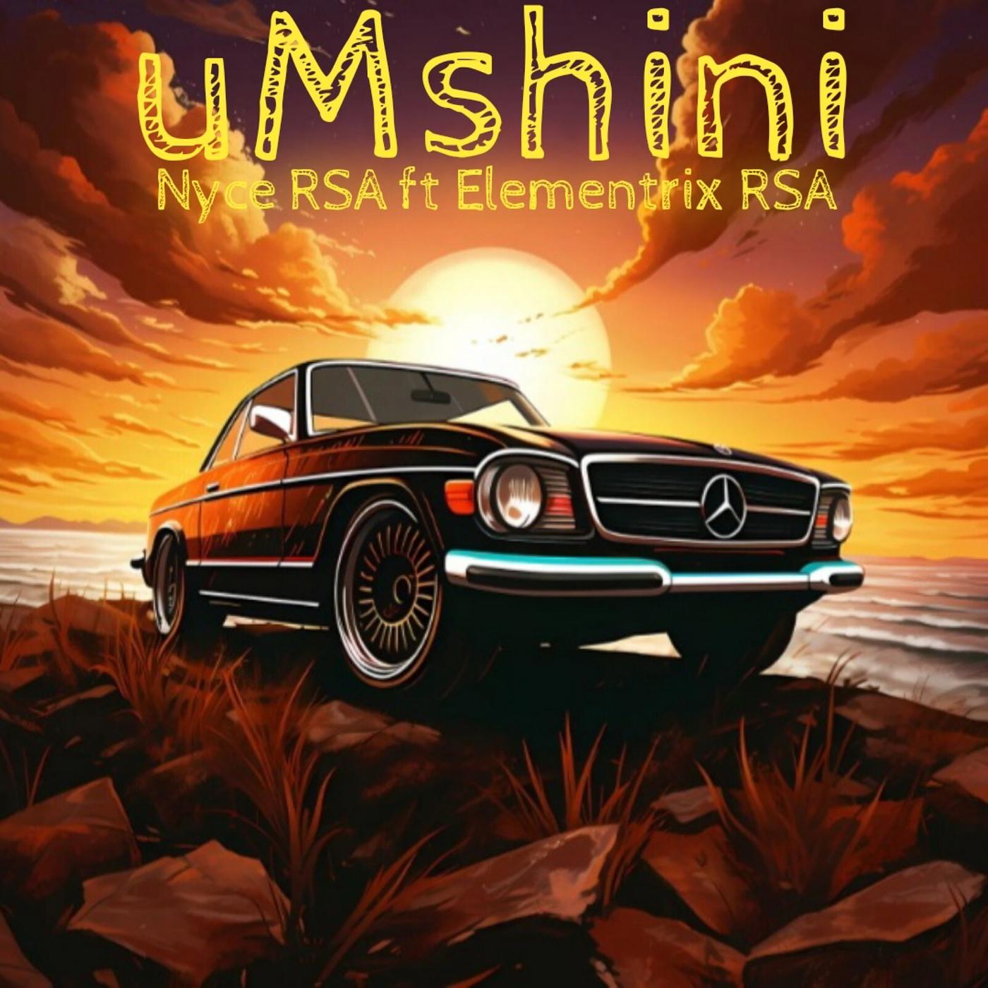 Постер альбома uMshini
