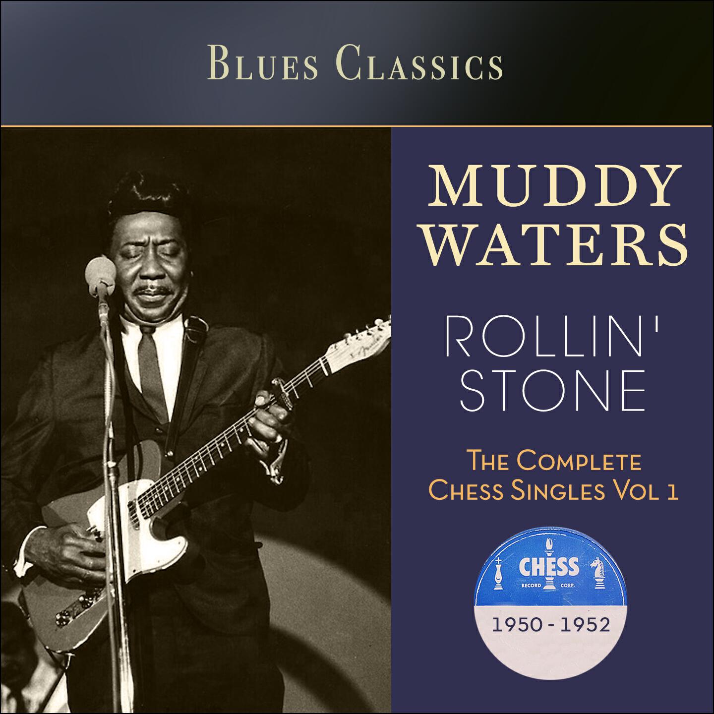 Muddy Waters - Evans Shuffle
