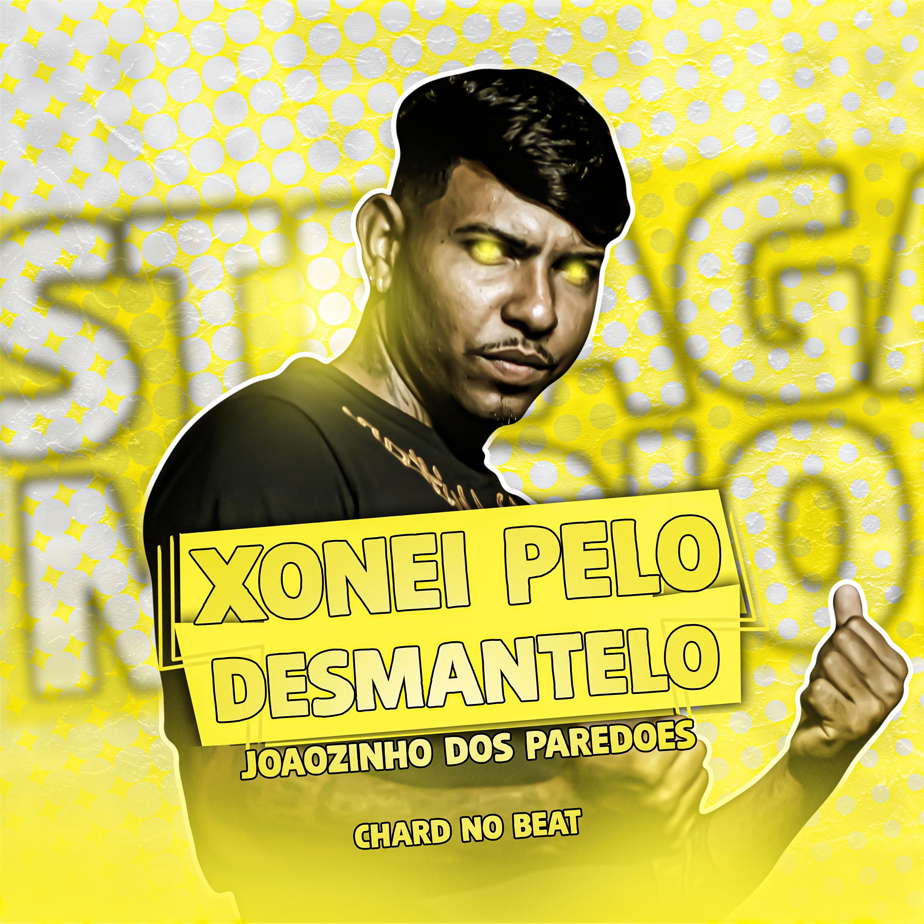 Постер альбома Xonei pelo Desmantelo