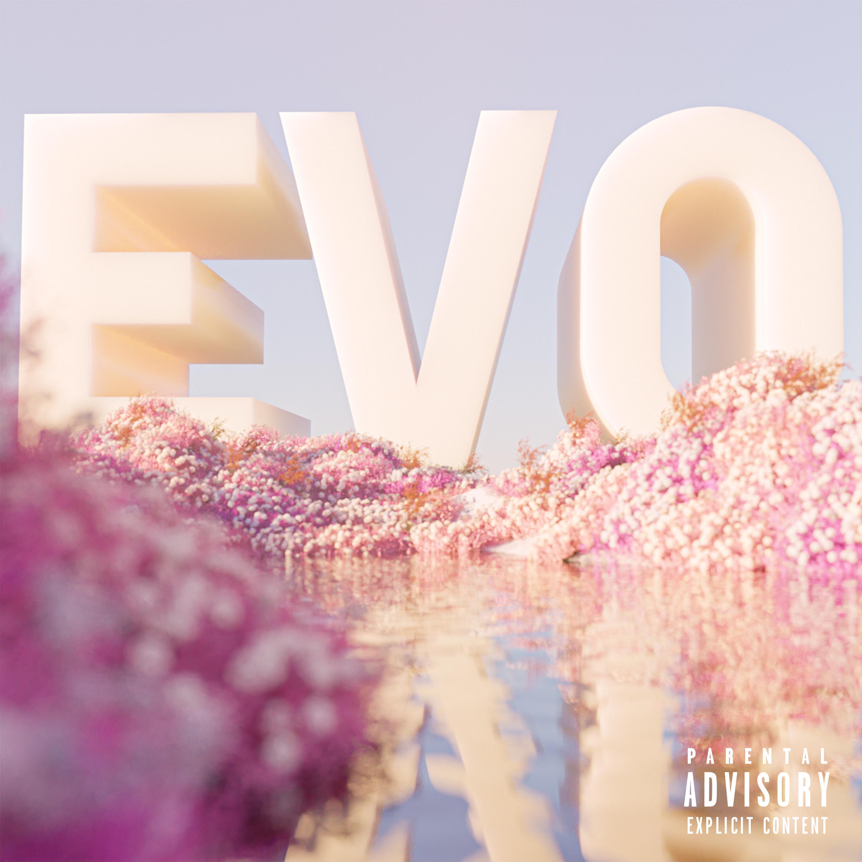 Постер альбома Evo