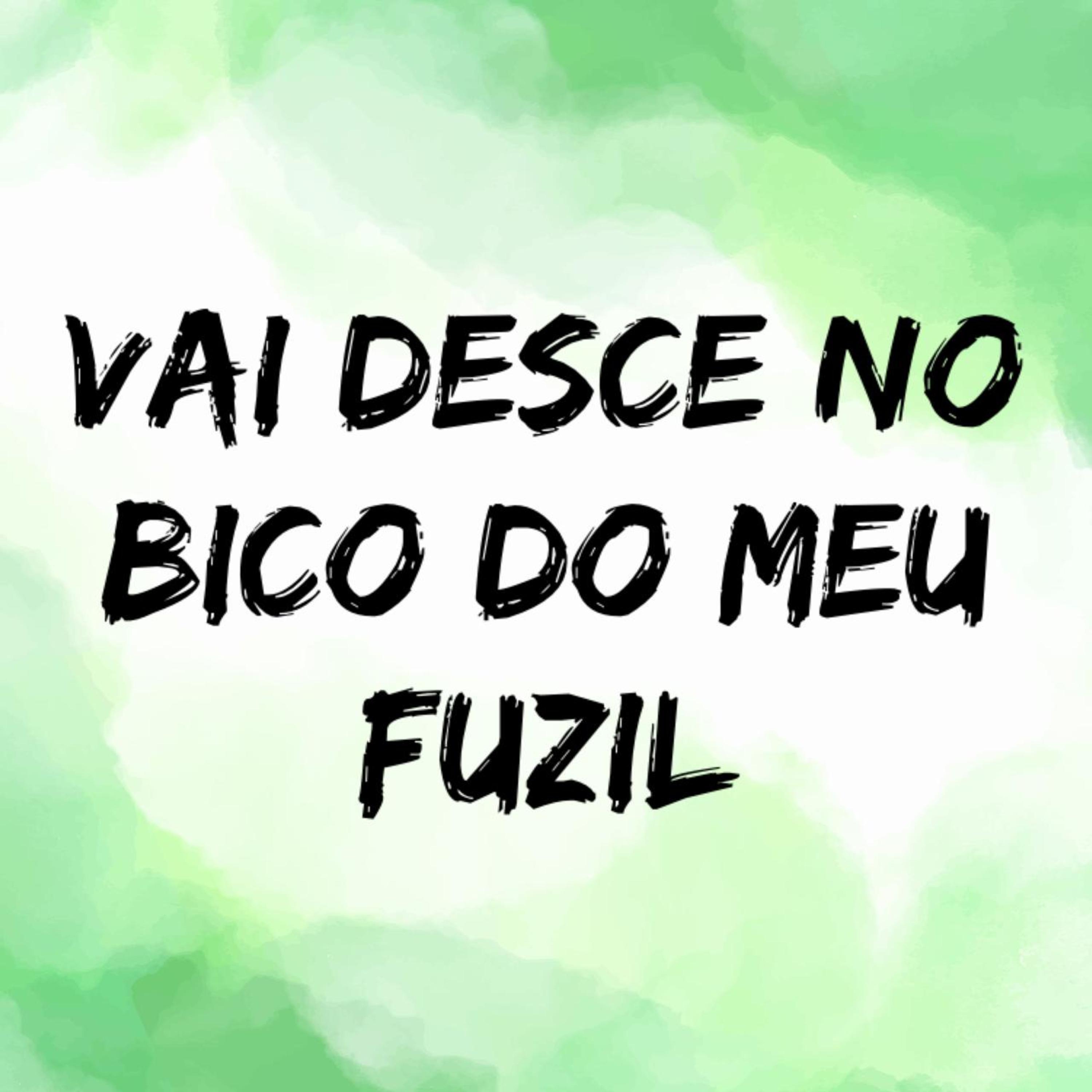 Постер альбома Vai Desce no Bico do Meu Fuzil
