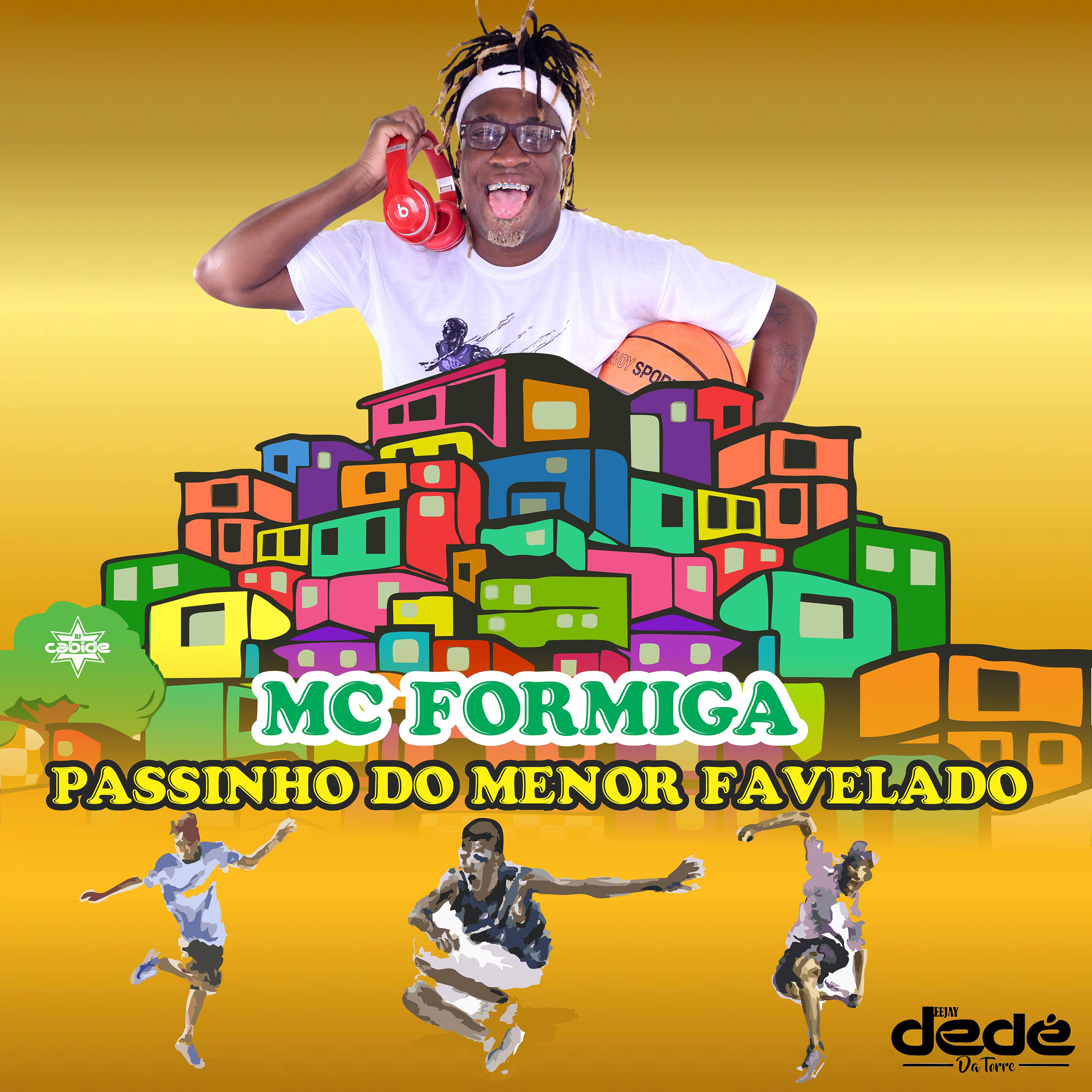 Постер альбома Passinho dos Menor Favelado