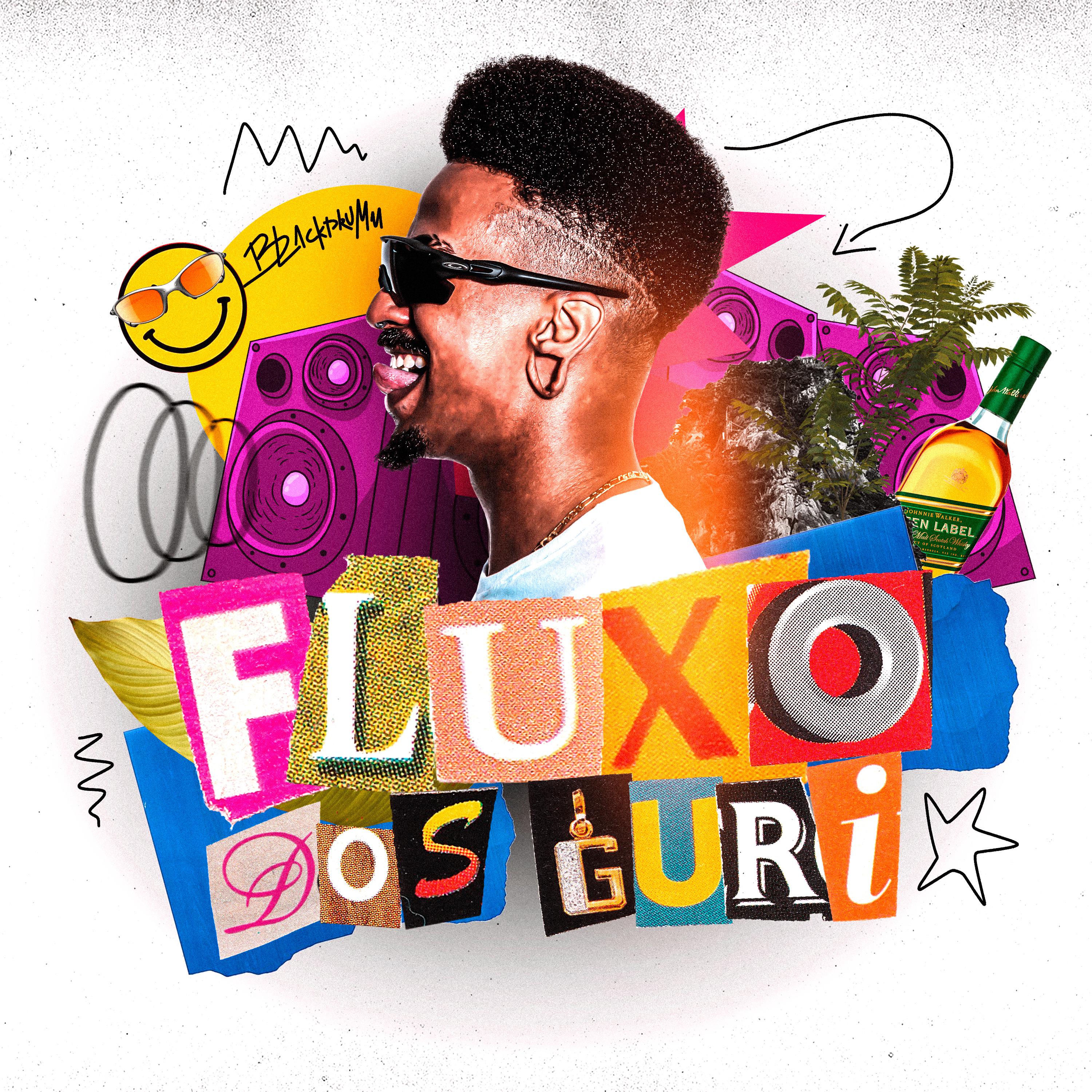 Постер альбома Fluxo dos Guri 2