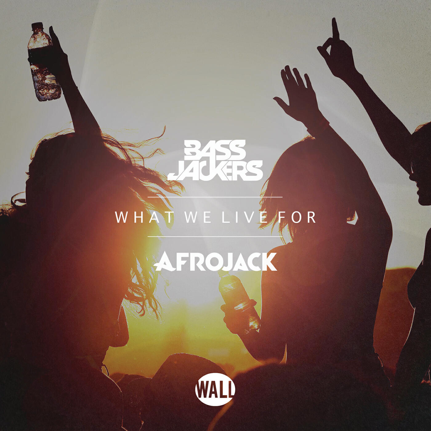 Bassjackers - What We Live For