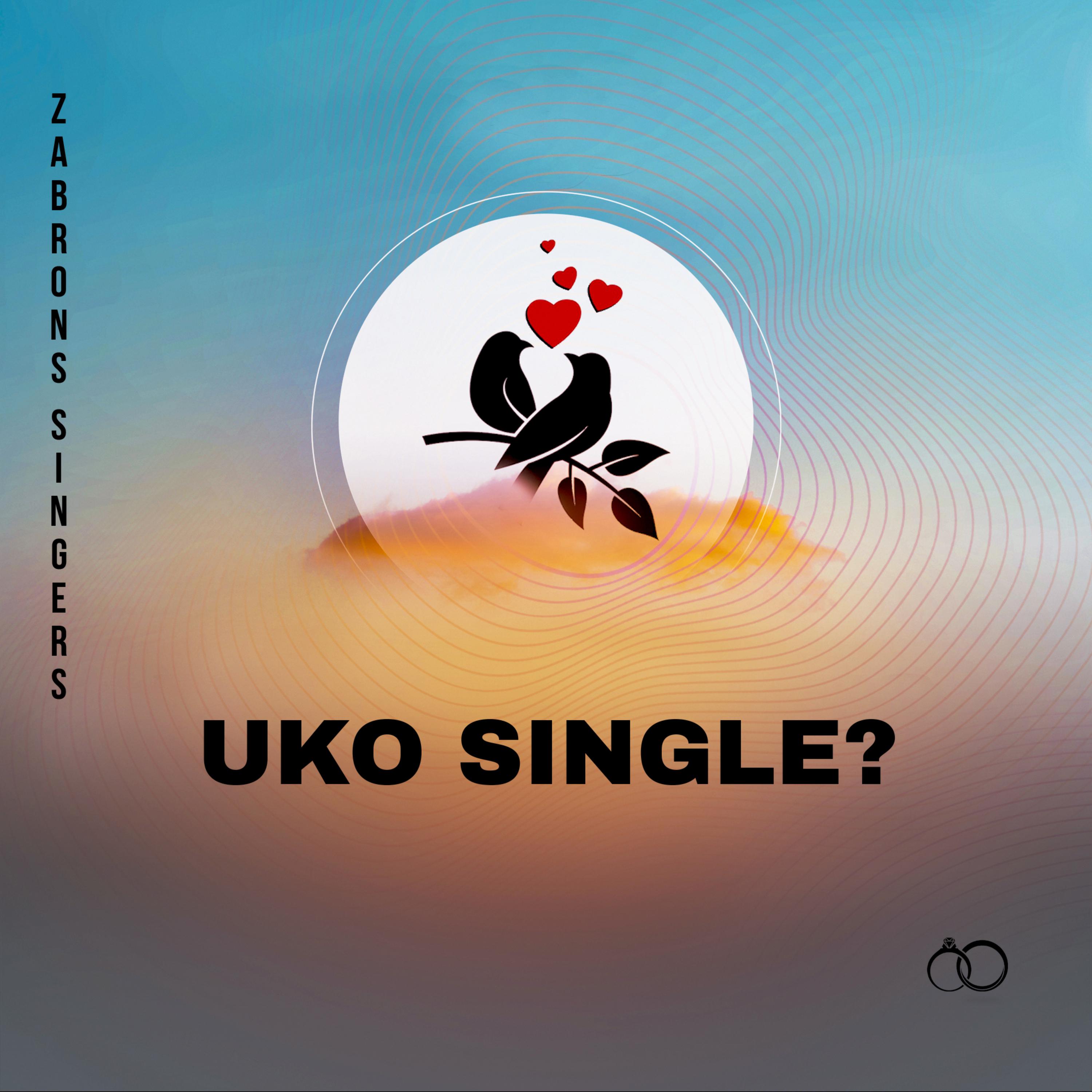 Постер альбома Uko Single?