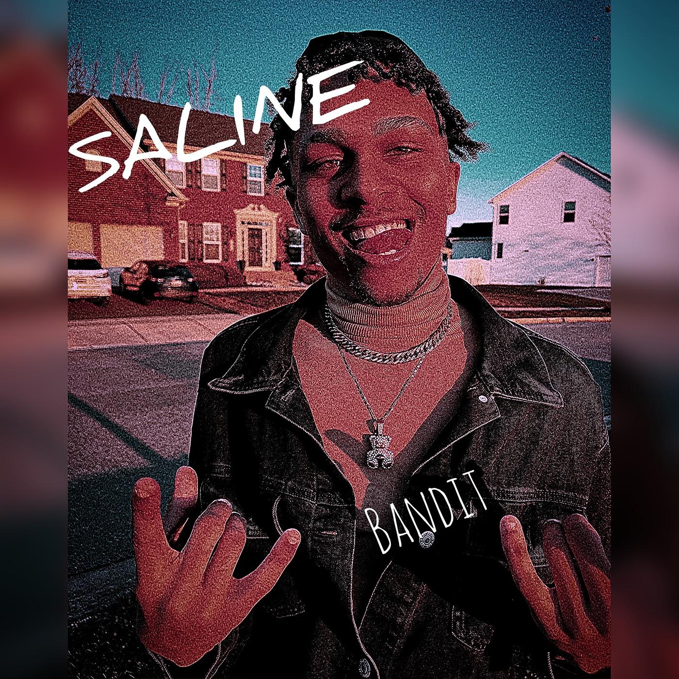 Постер альбома Saline