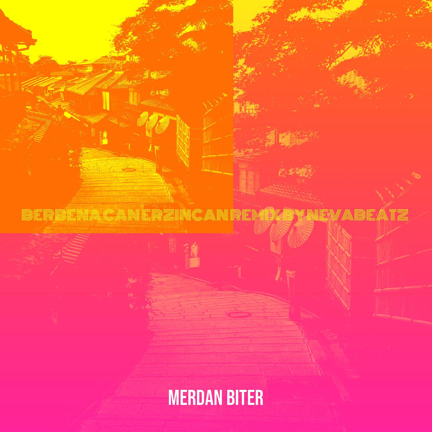 Постер альбома Berbena Can Erzincan (Remix by NevaBeatz)