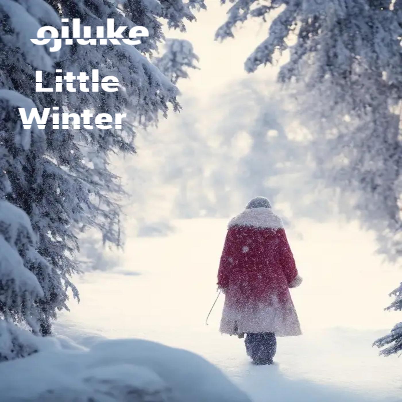 Постер альбома Little Winter