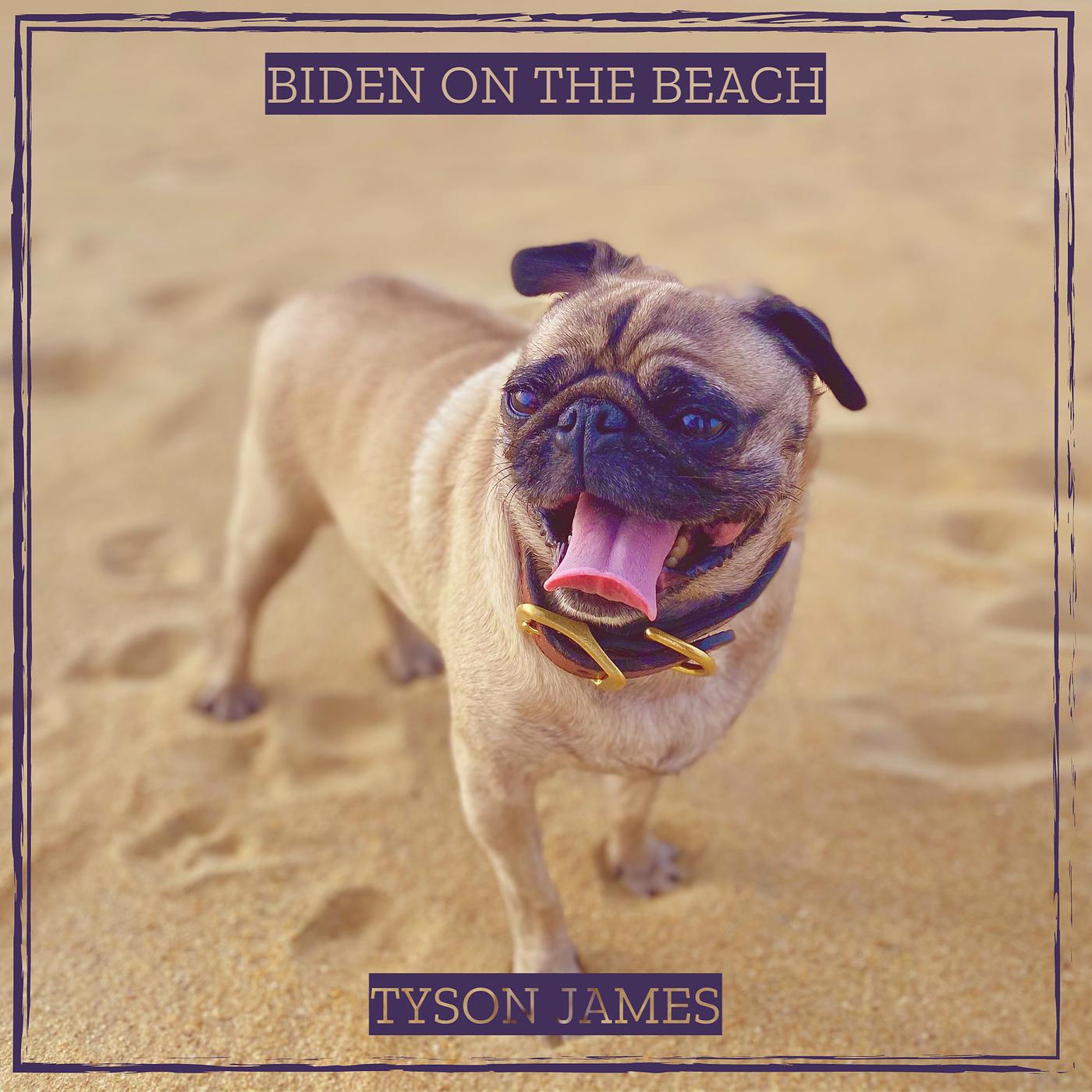 Постер альбома Biden on the Beach