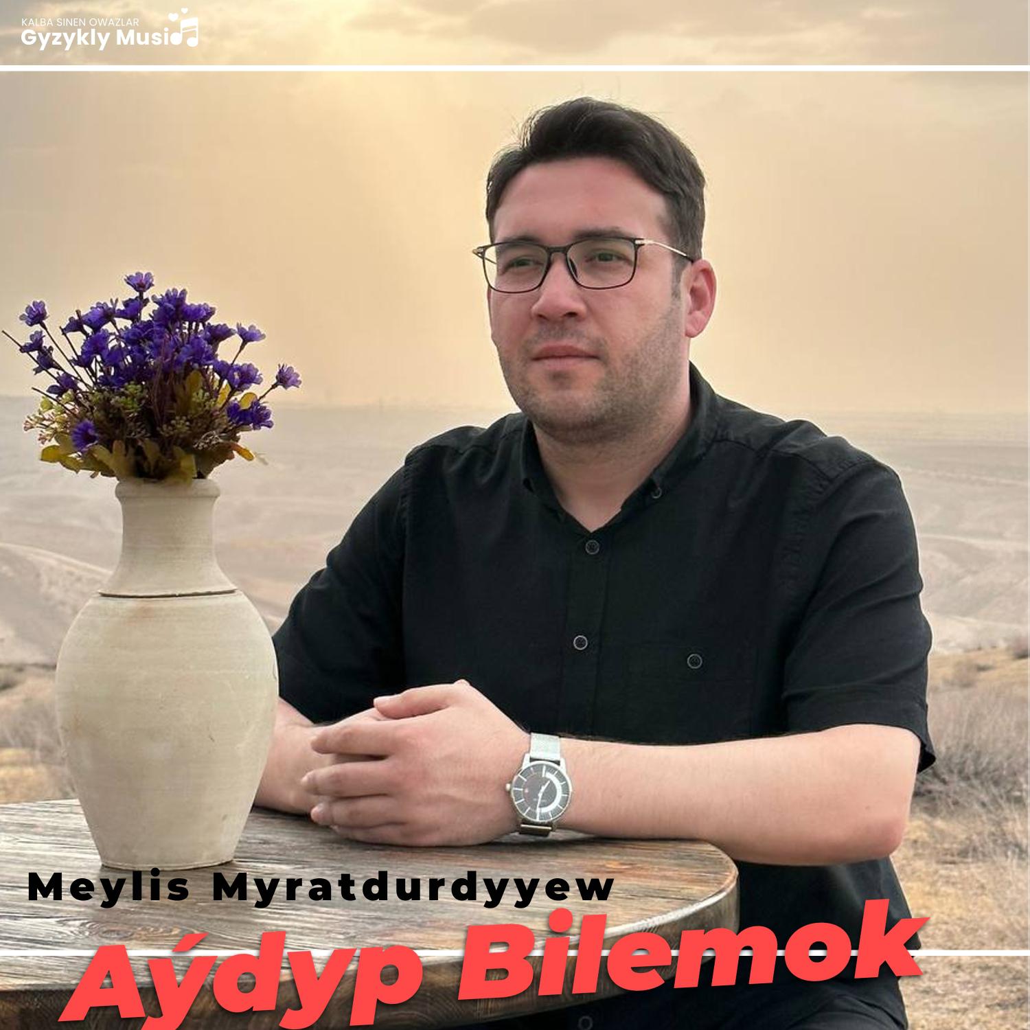 Постер альбома Aýdyp Bilemok