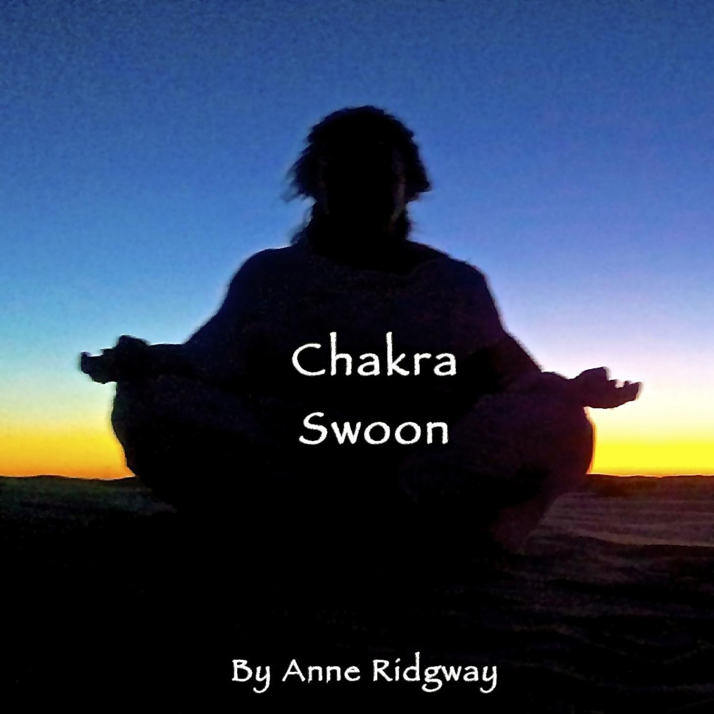 Постер альбома Chakra Swoon