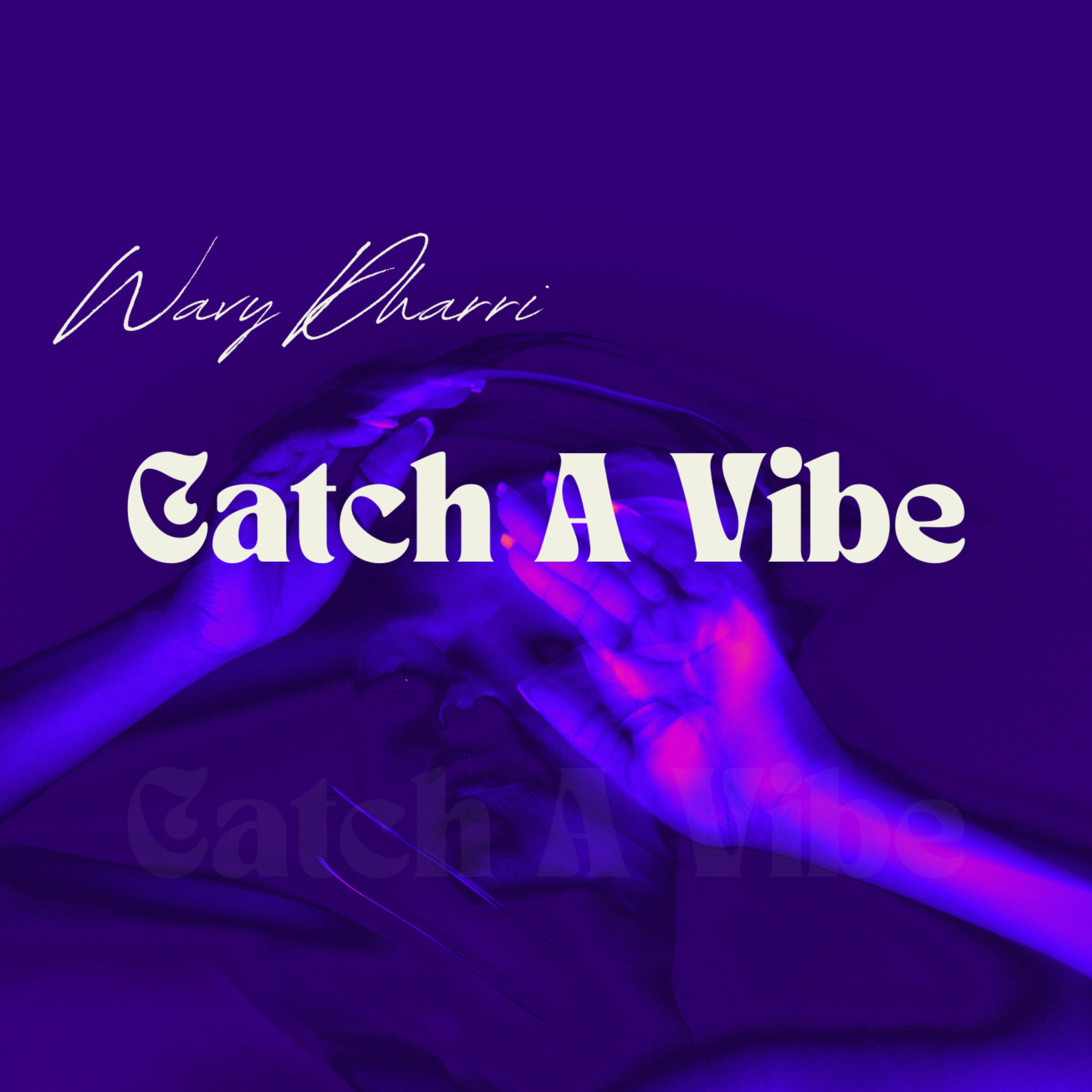 Постер альбома Catch a Vibe