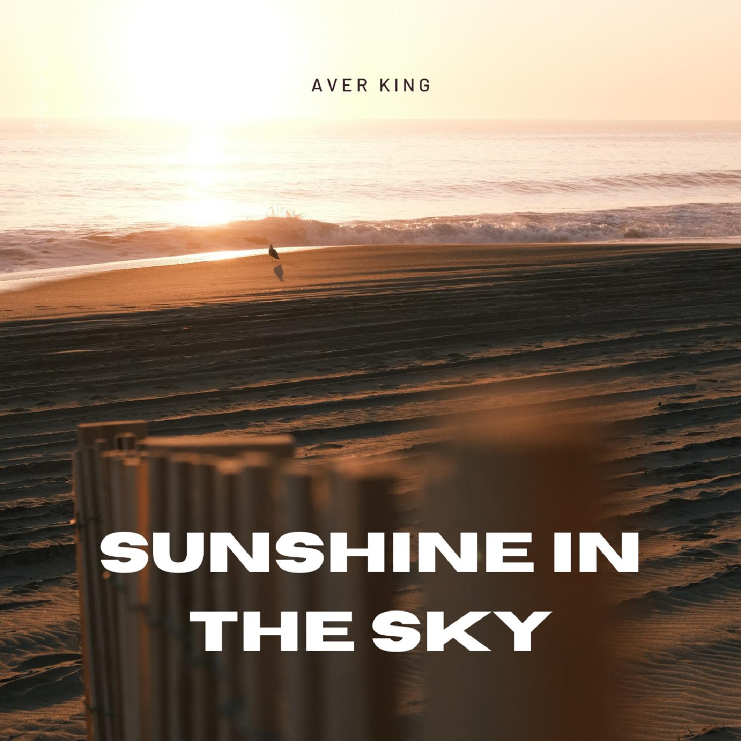 Постер альбома Sunshine in the Sky
