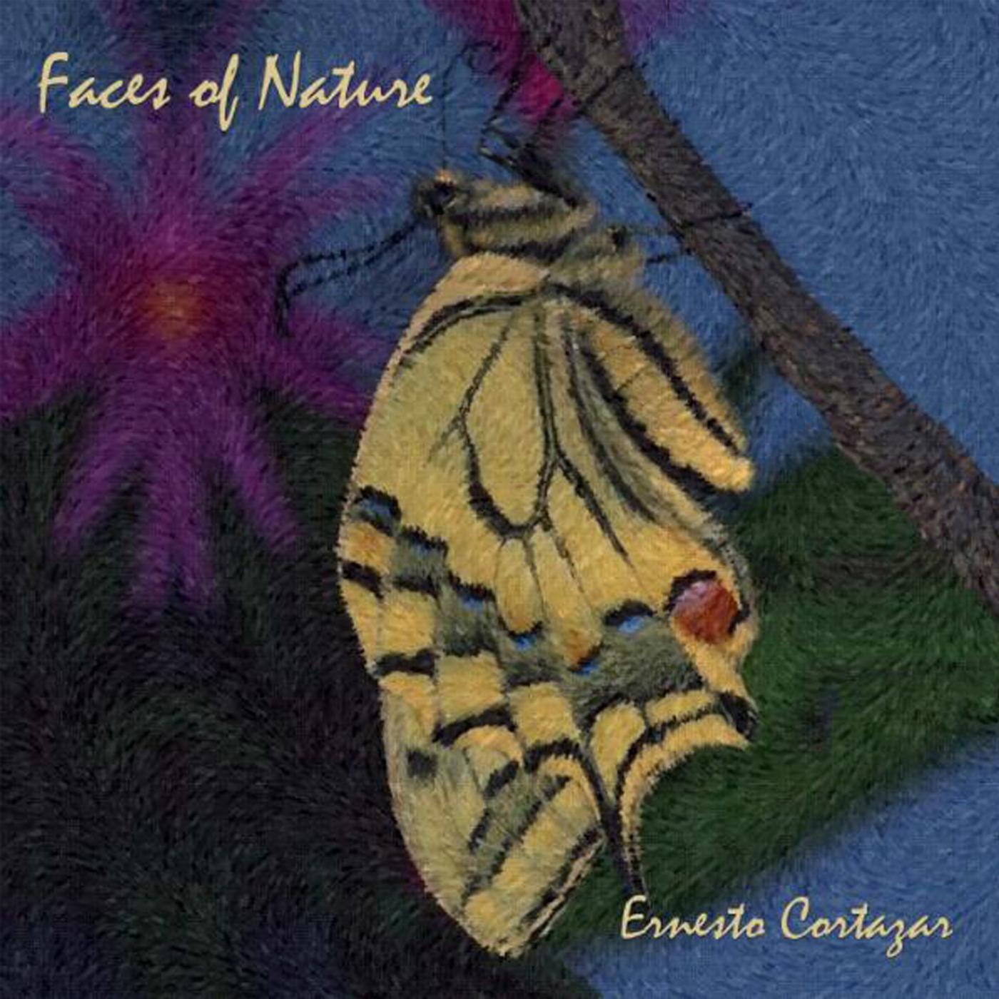 Ernesto Cortazar - Dance of a Hummingbird