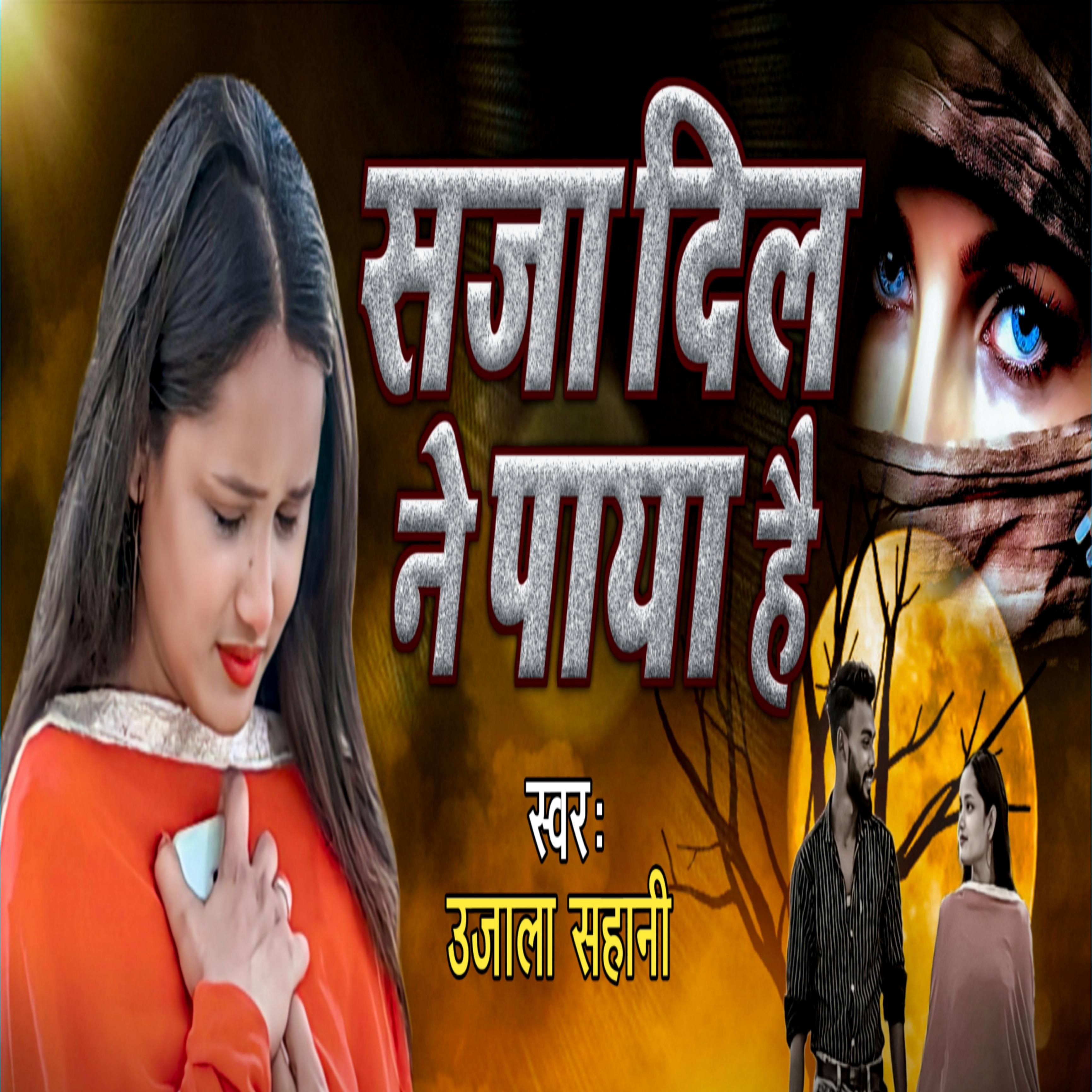 Постер альбома Saja Dil Ne Paya Hai