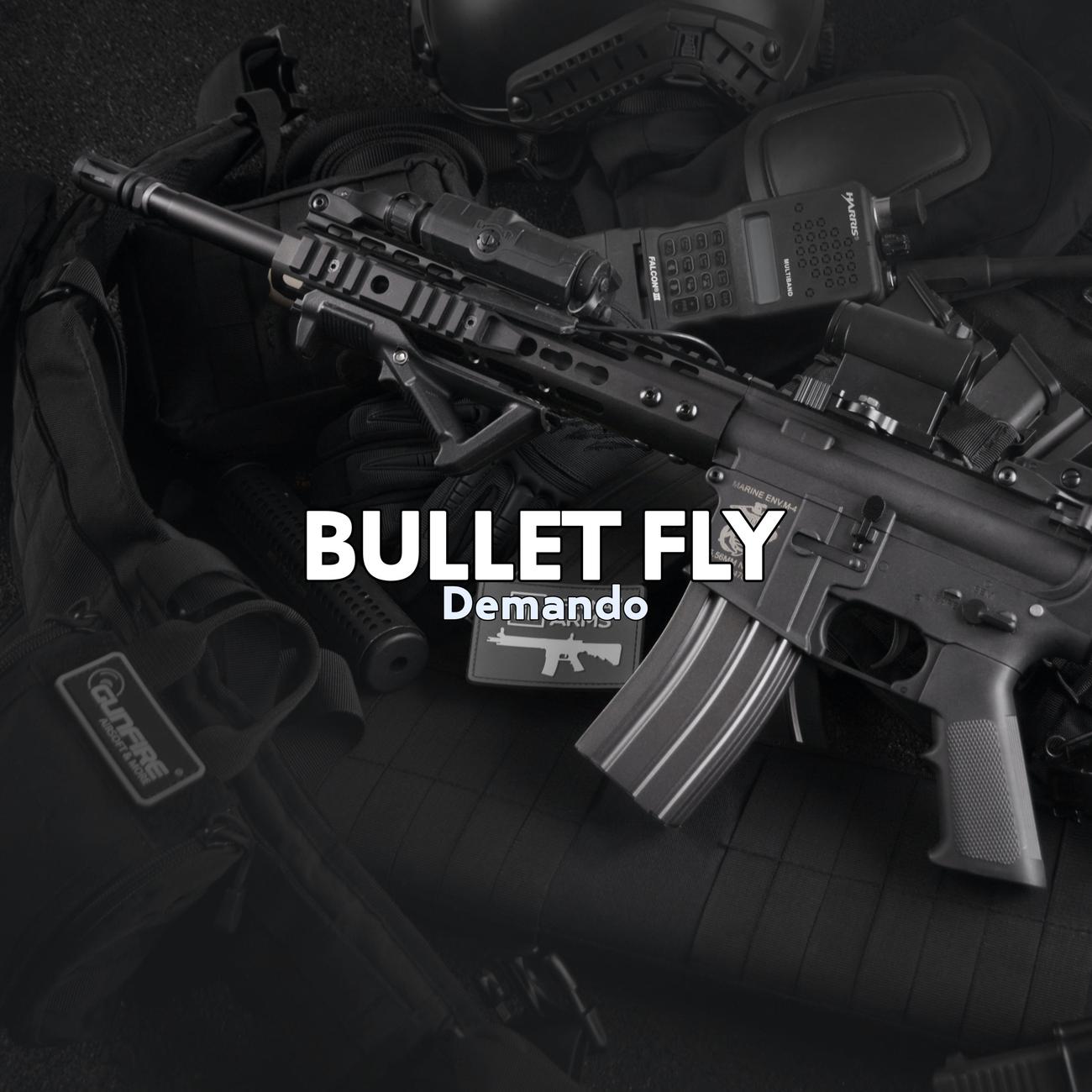 Постер альбома Bullet Fly