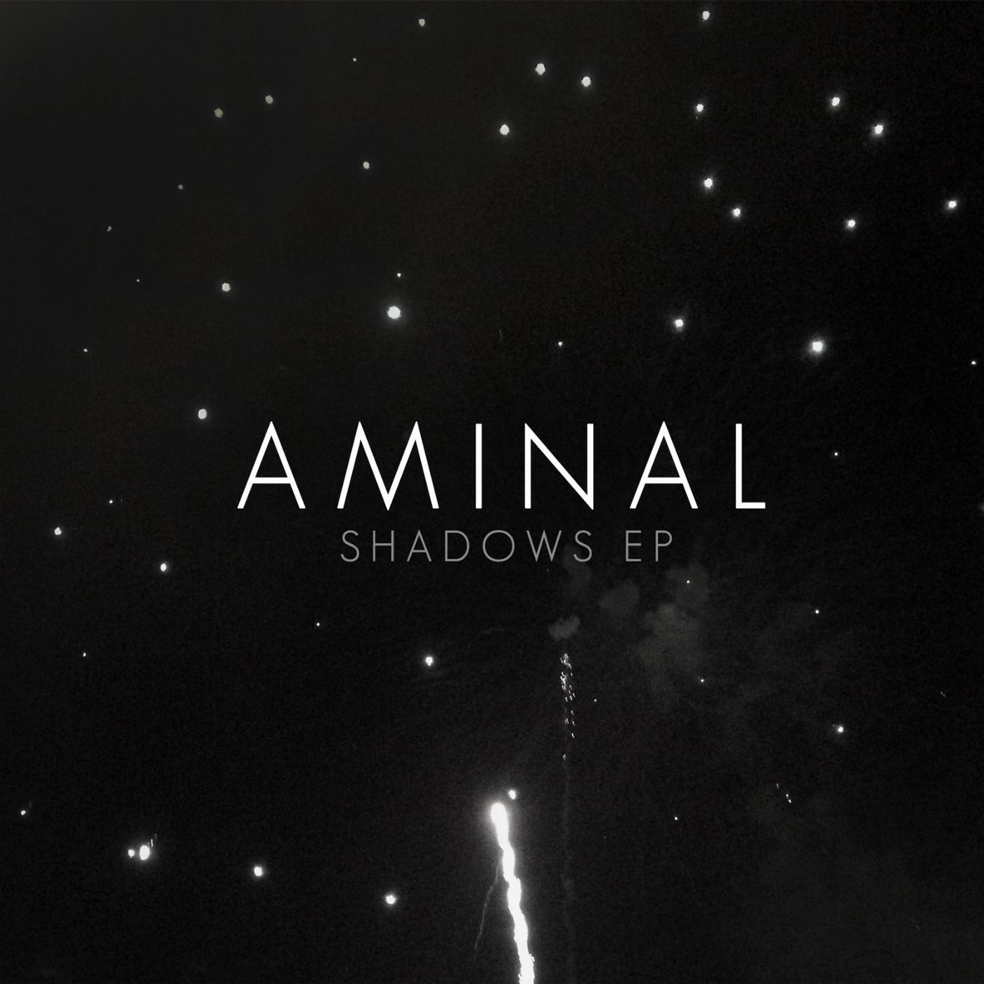 Aminal - The Score