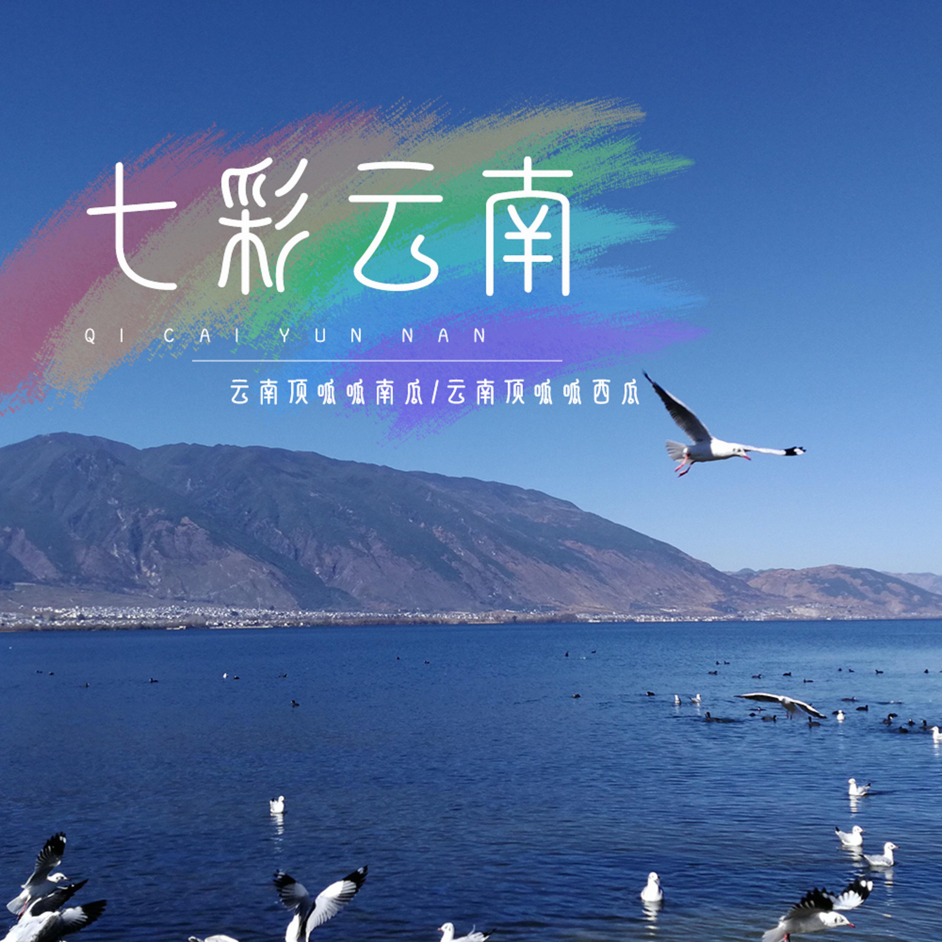 Постер альбома 七彩云南
