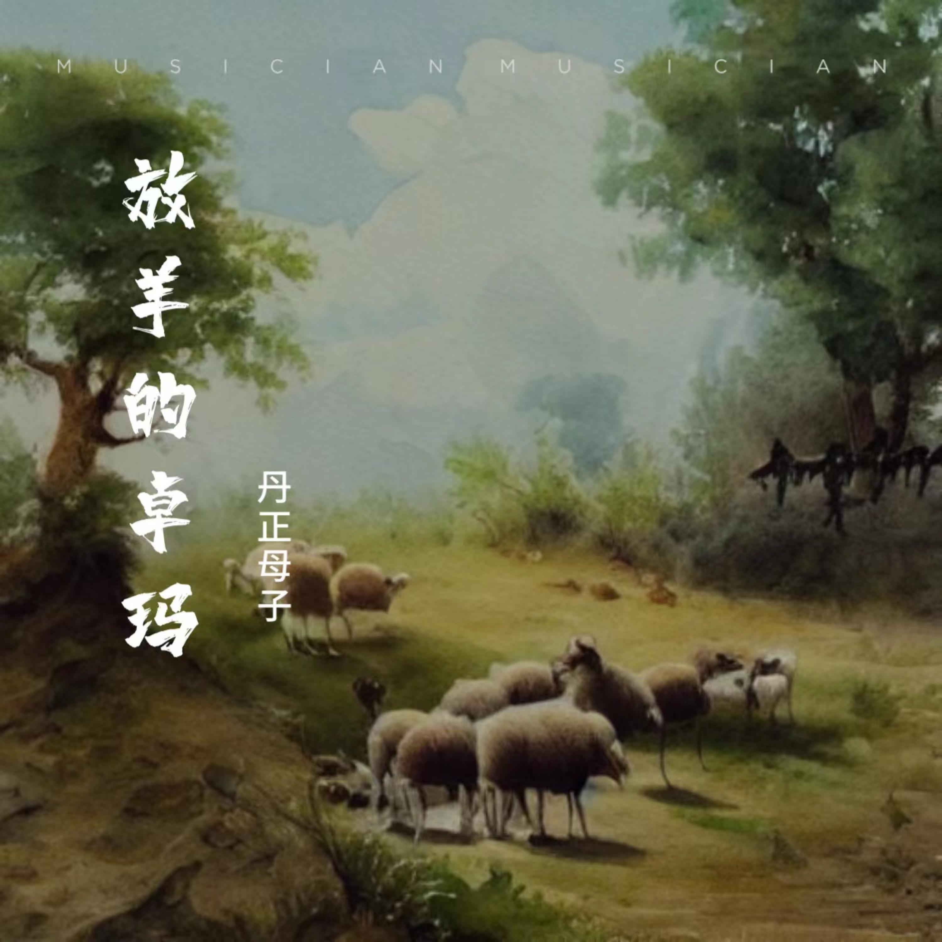 Постер альбома 放羊的卓玛