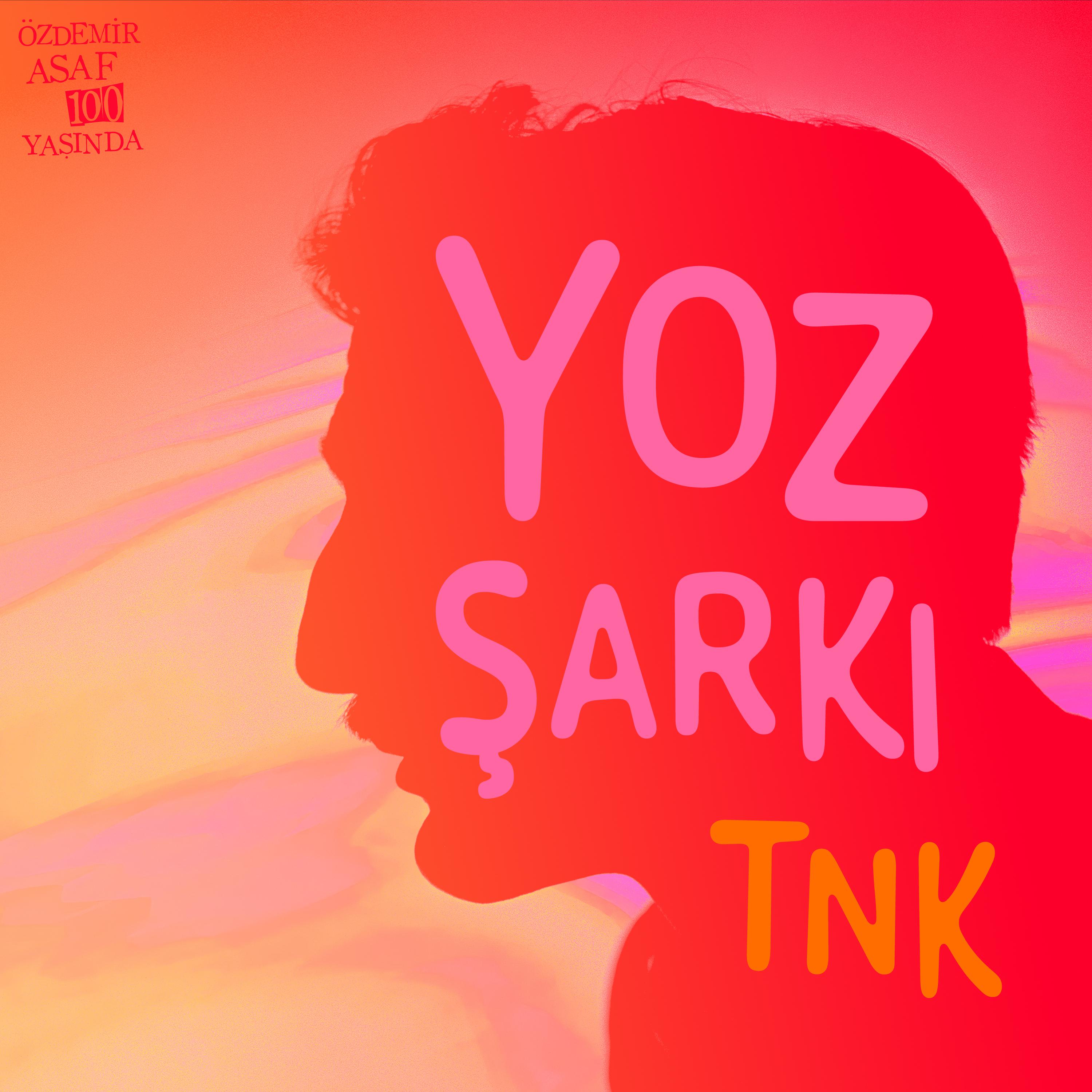 Постер альбома YOZ ŞARKI
