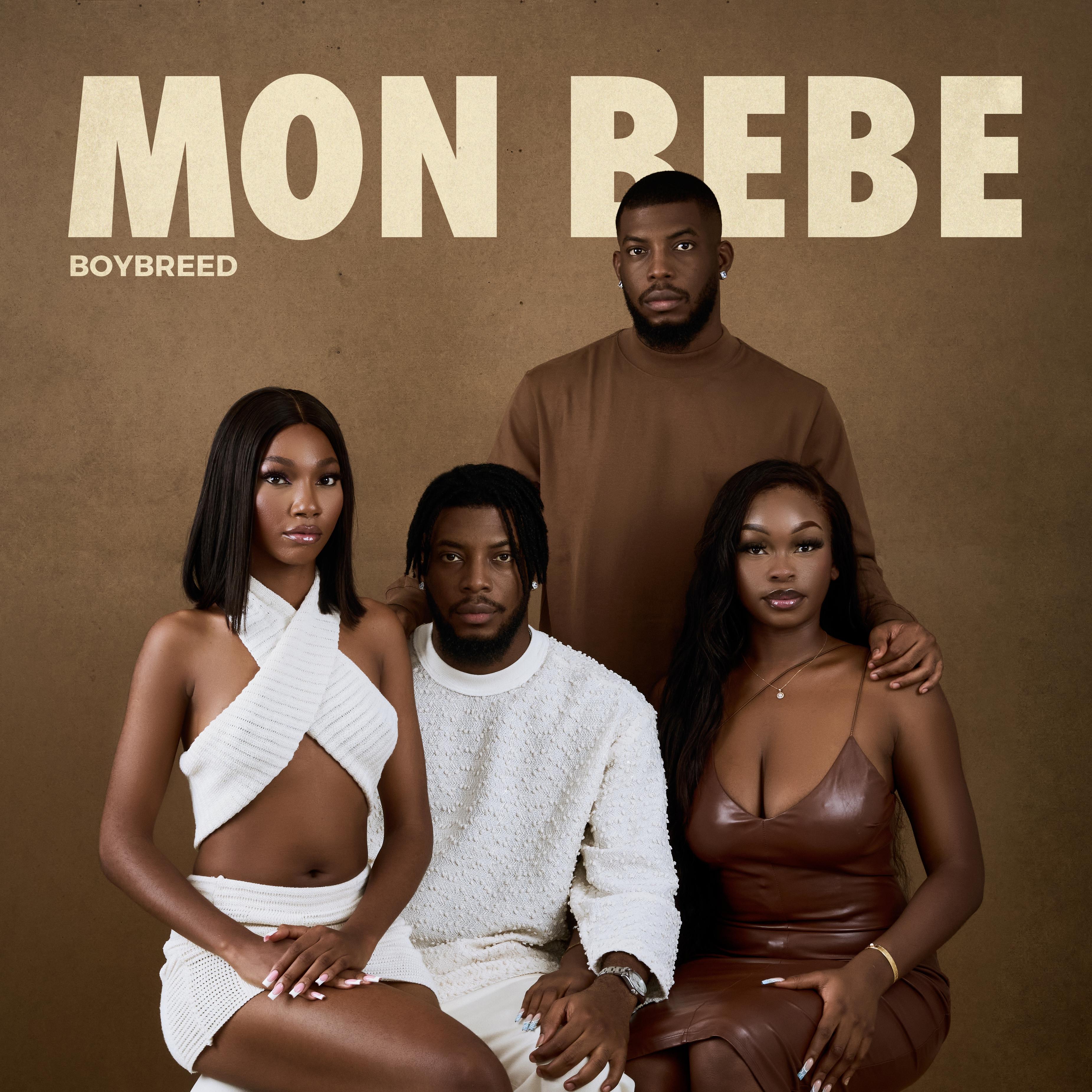Постер альбома Mon Bebe