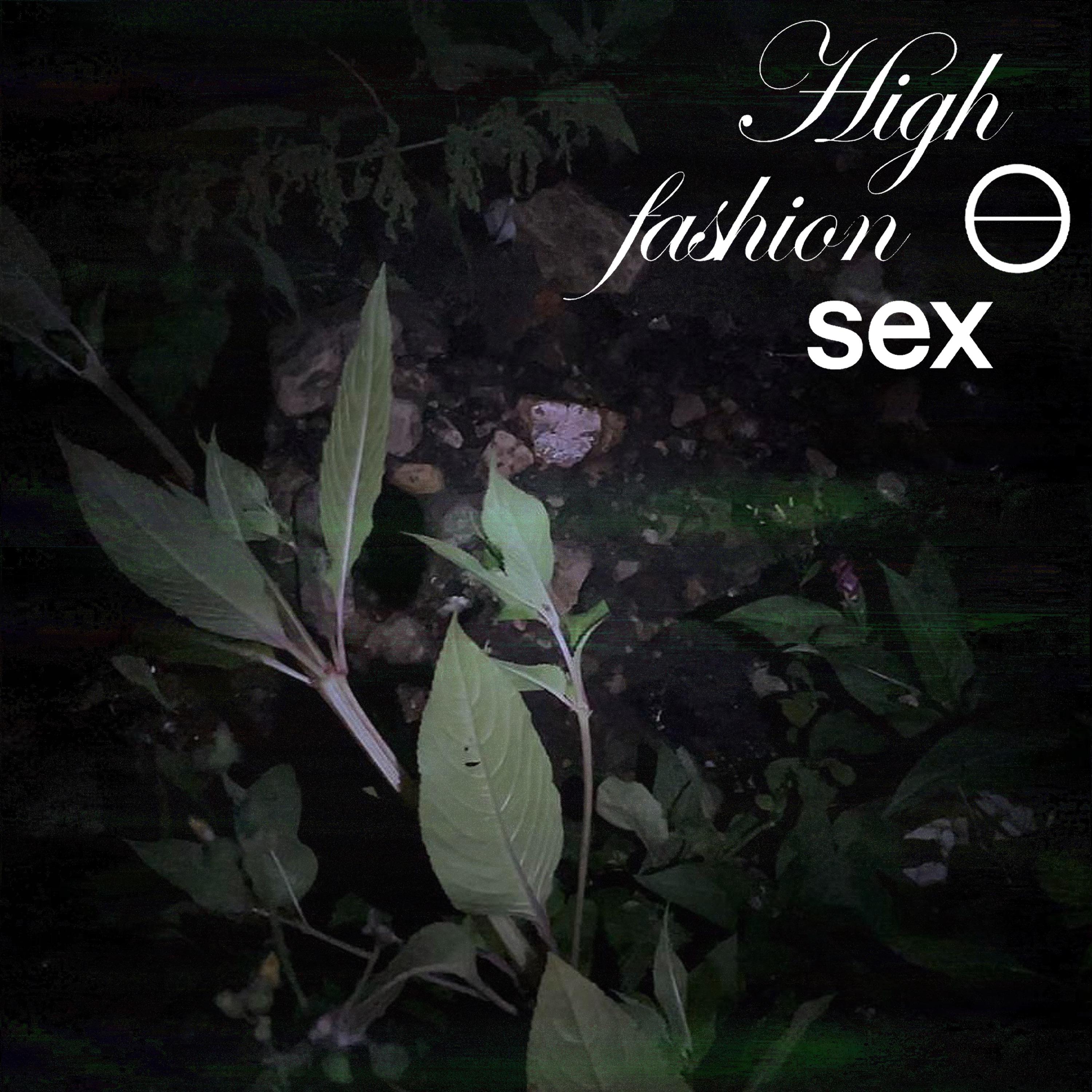 Постер альбома highfashionsex