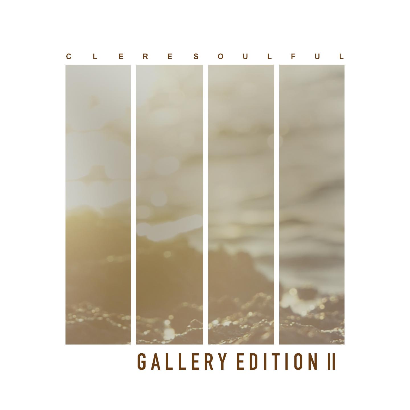 Постер альбома Gallery Edition II