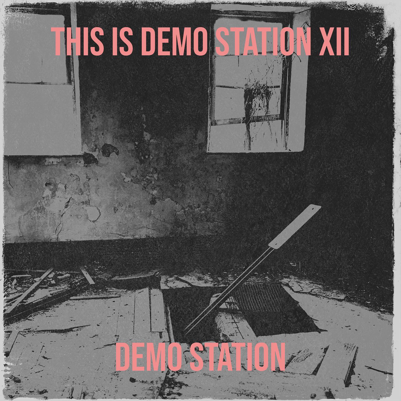 Постер альбома This Is Demo Station XII