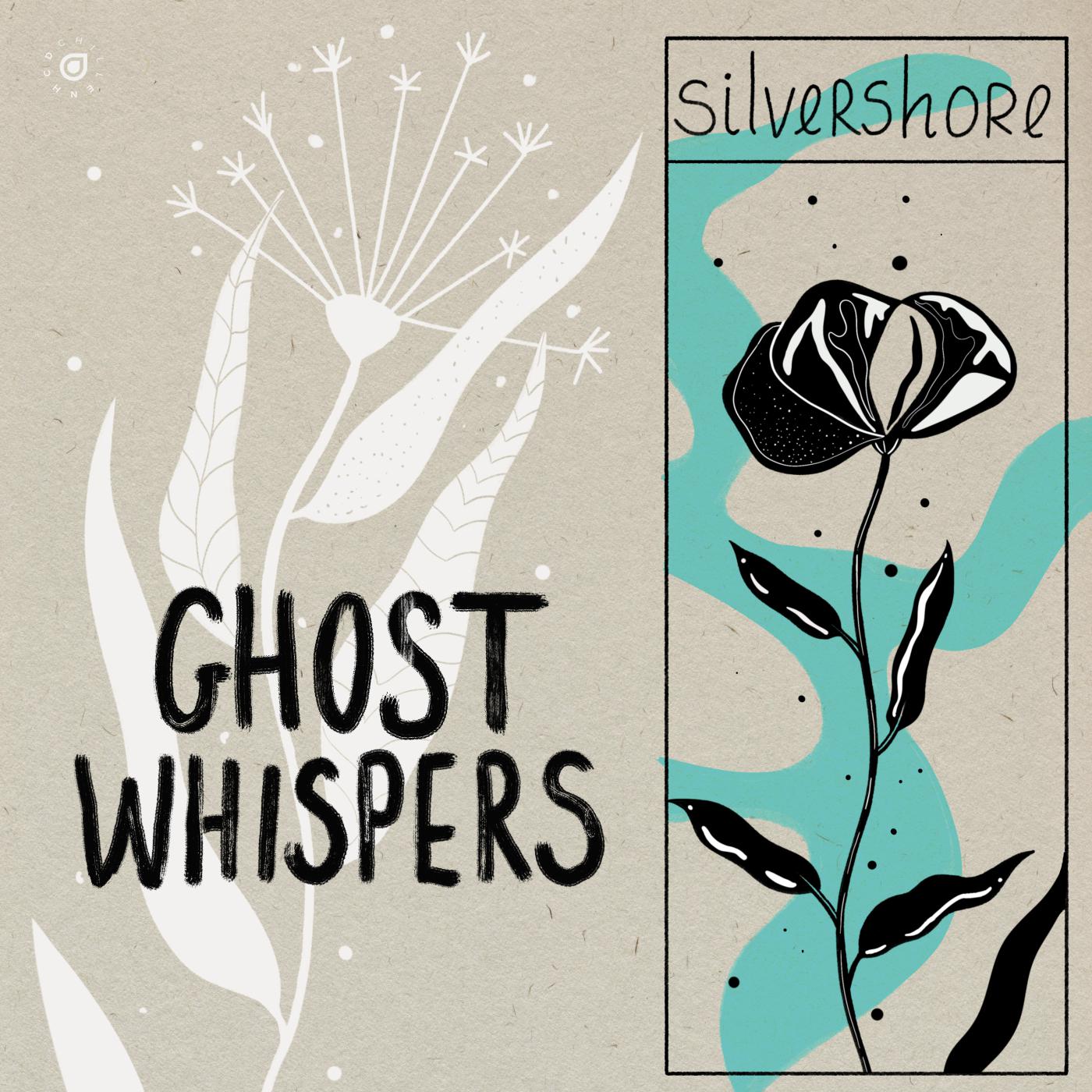 Постер альбома ghost whispers