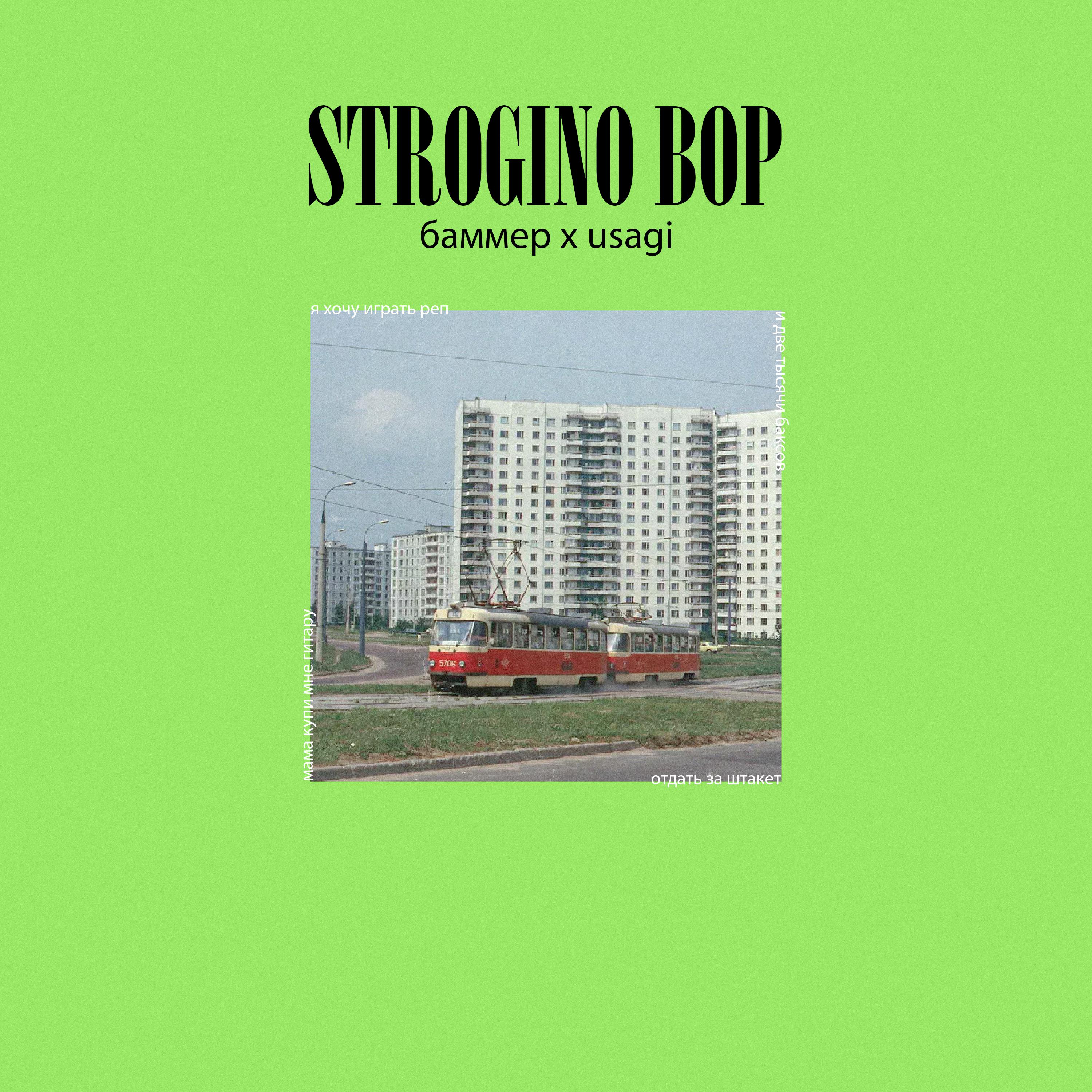 Постер альбома Strogino Bop