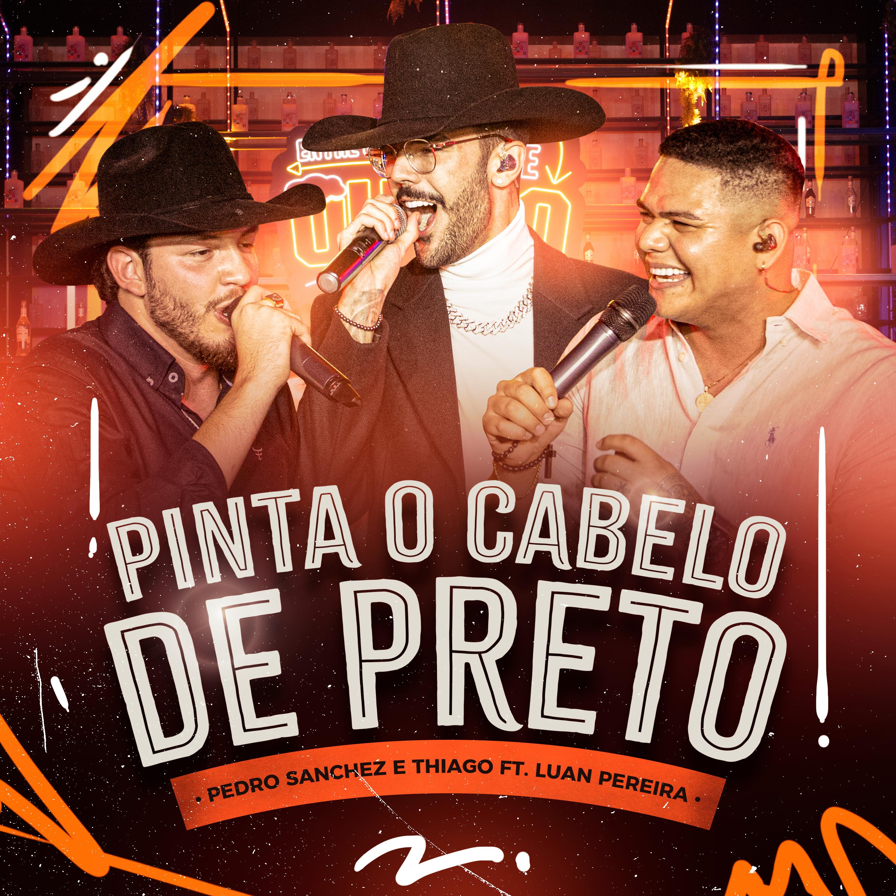 Постер альбома Pinta o Cabelo de Preto