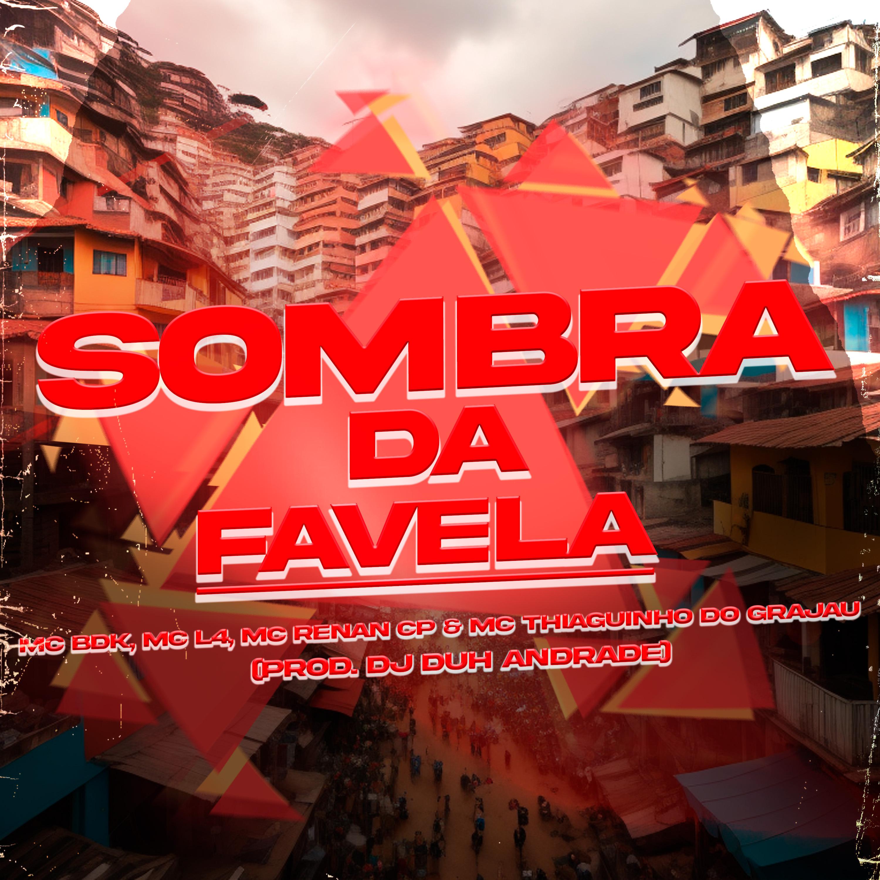 Постер альбома Sombra da Favela