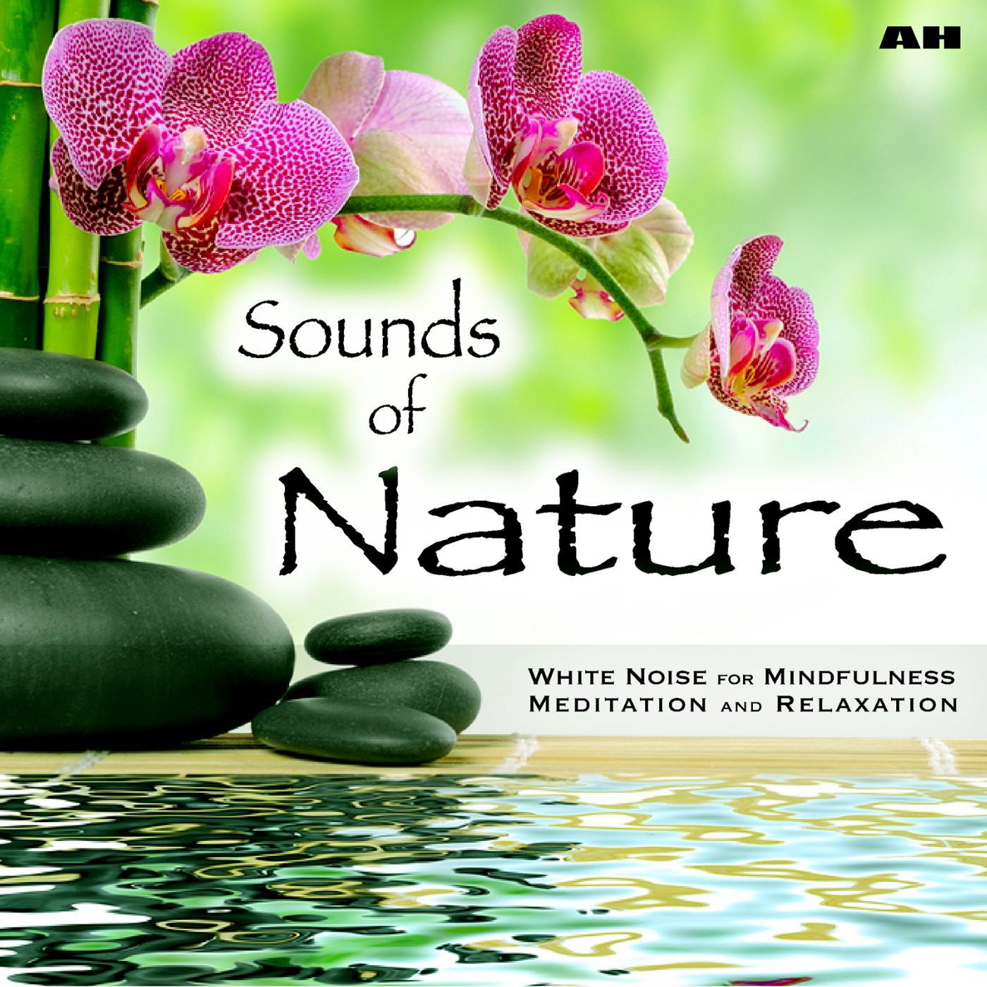 Постер альбома Sounds of Nature White Noise for Mindfulness Meditation and Relaxation