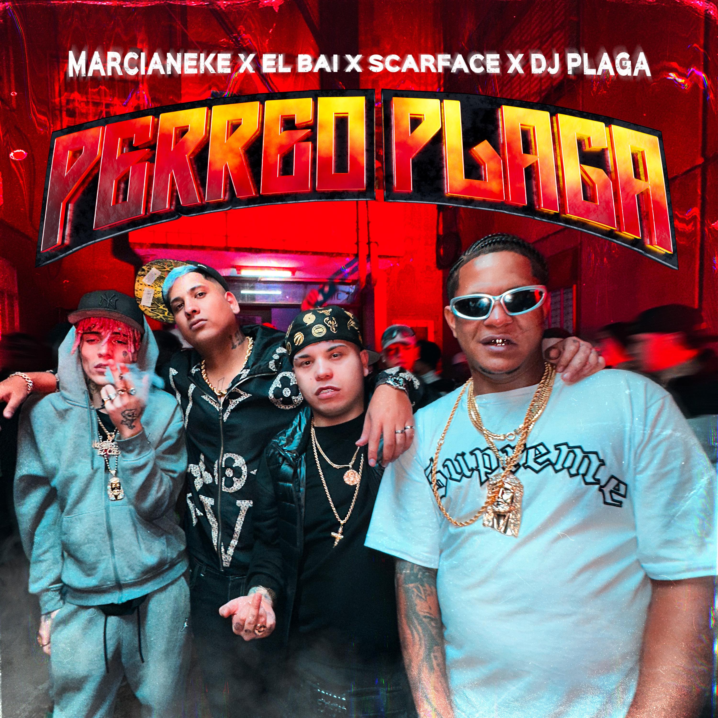 Постер альбома Perreo Plaga