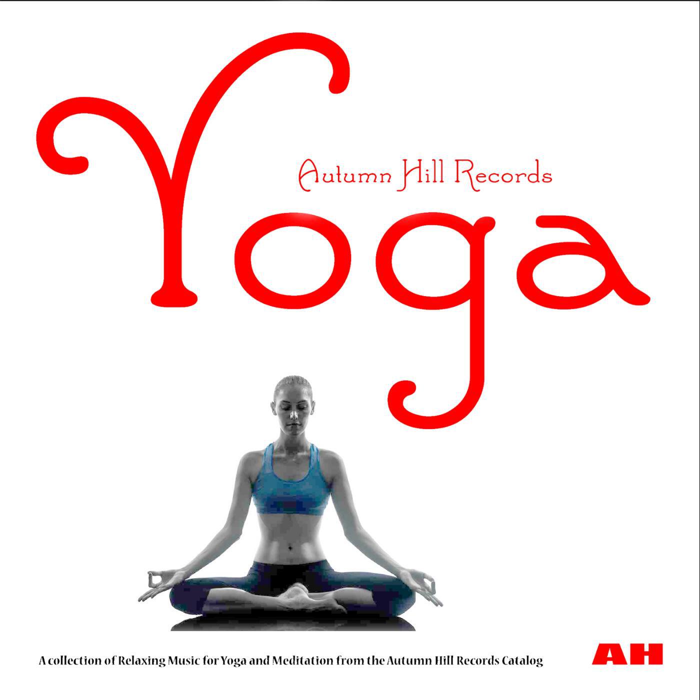 Michael SIlverman - Yoga Music for Yoga Class