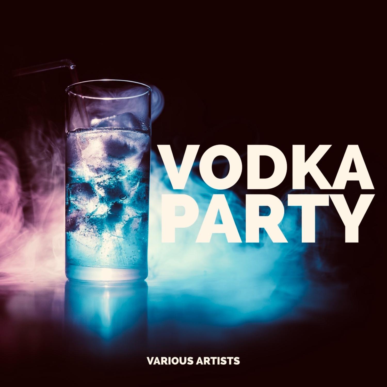 Постер альбома Vodka Party
