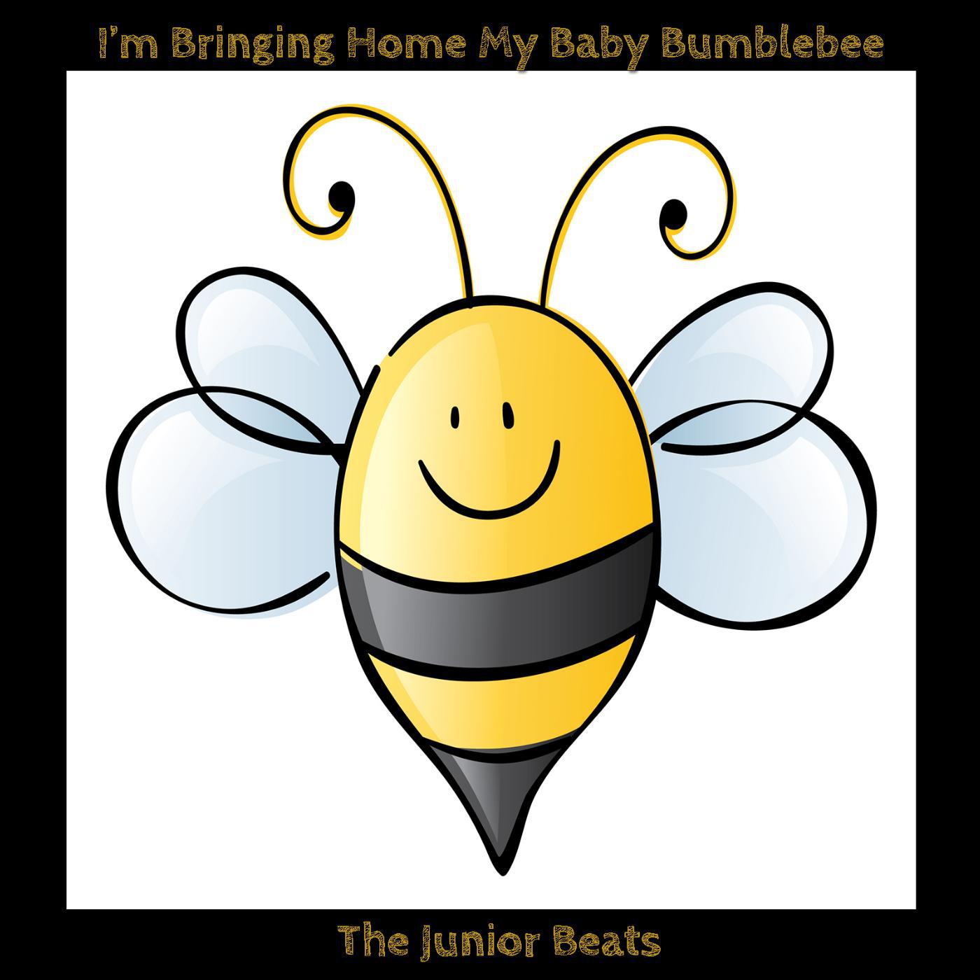 Постер альбома I'm Bringing Home My Baby Bumblebee