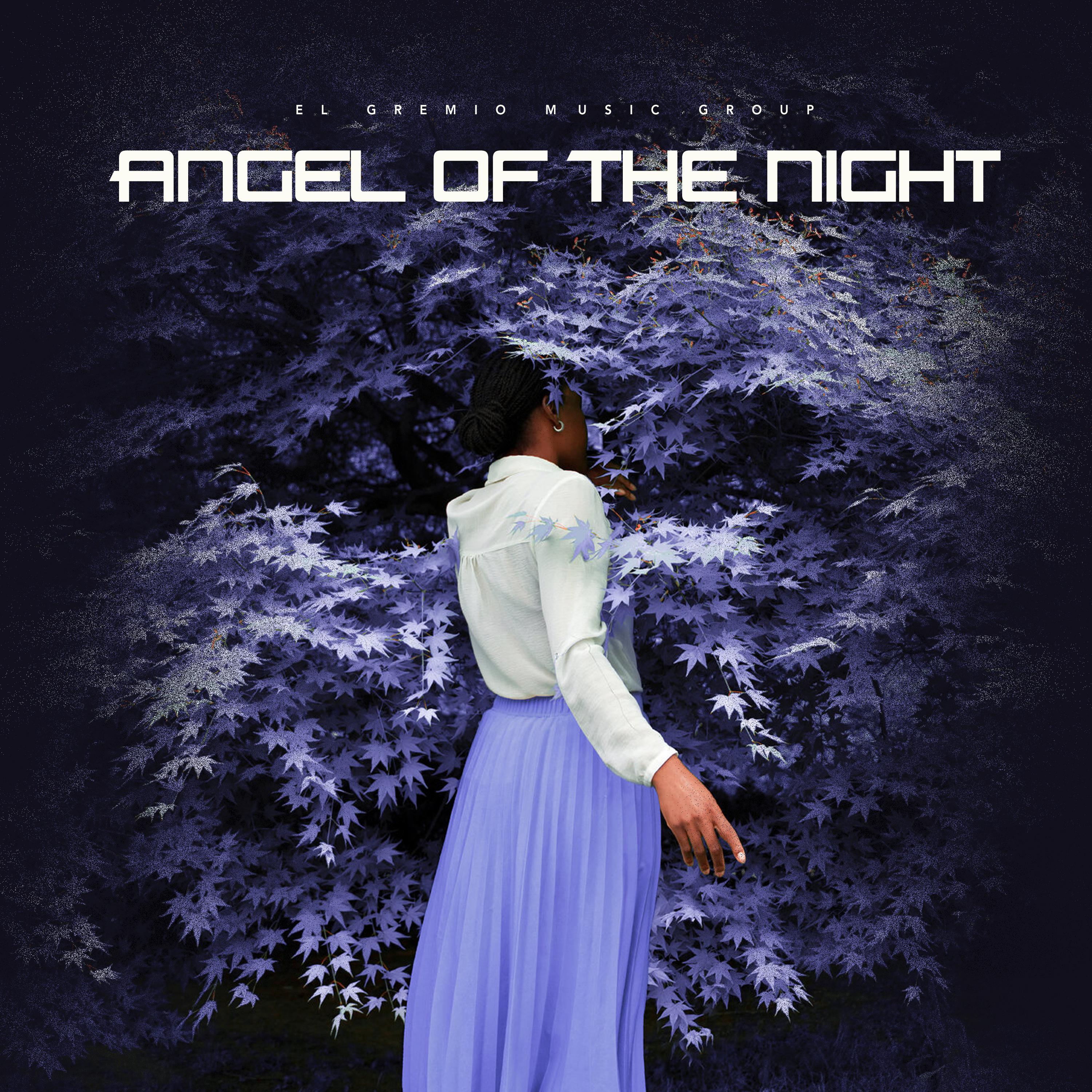 Постер альбома Angel Of The Night