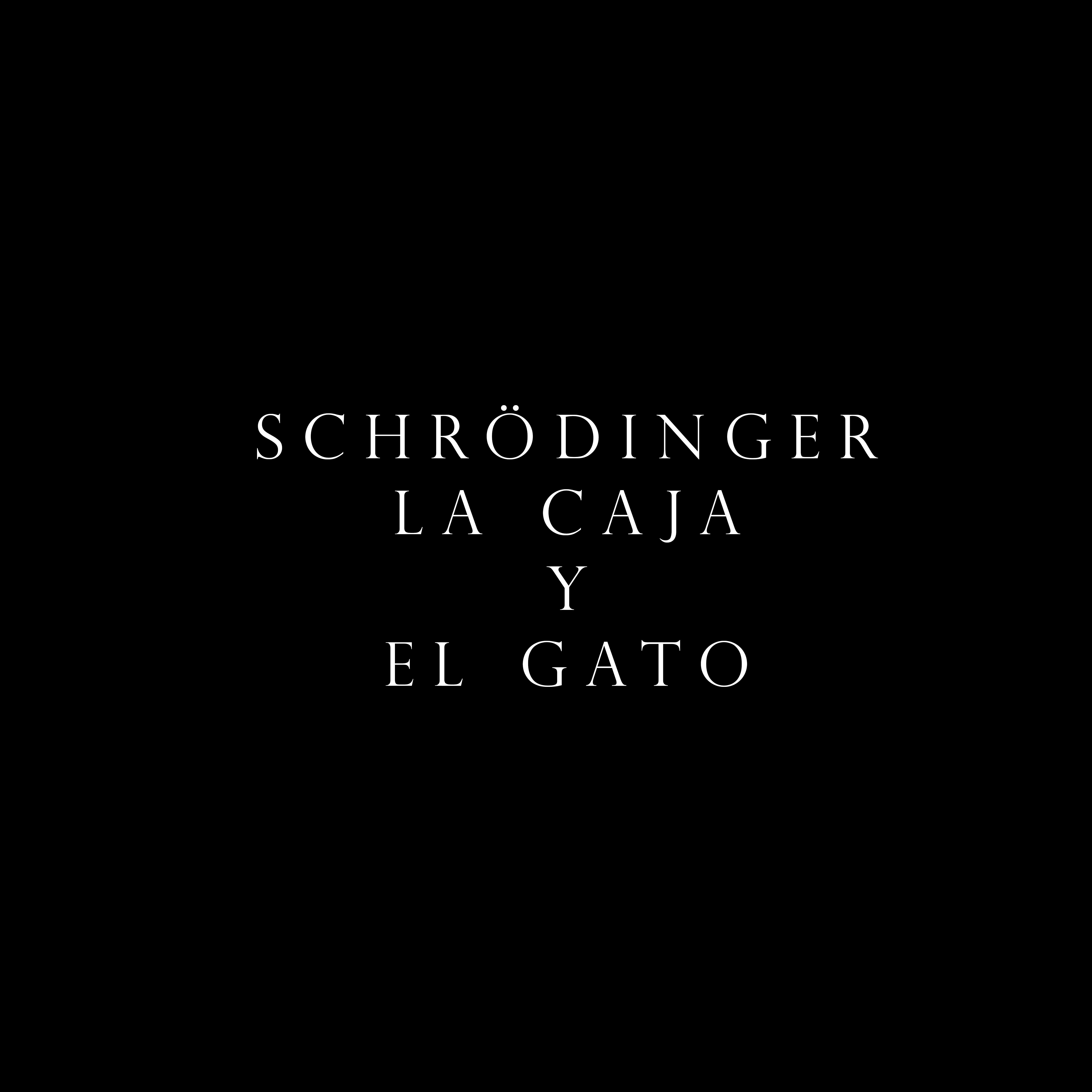 Постер альбома Schrödinger, la Caja y el Gato