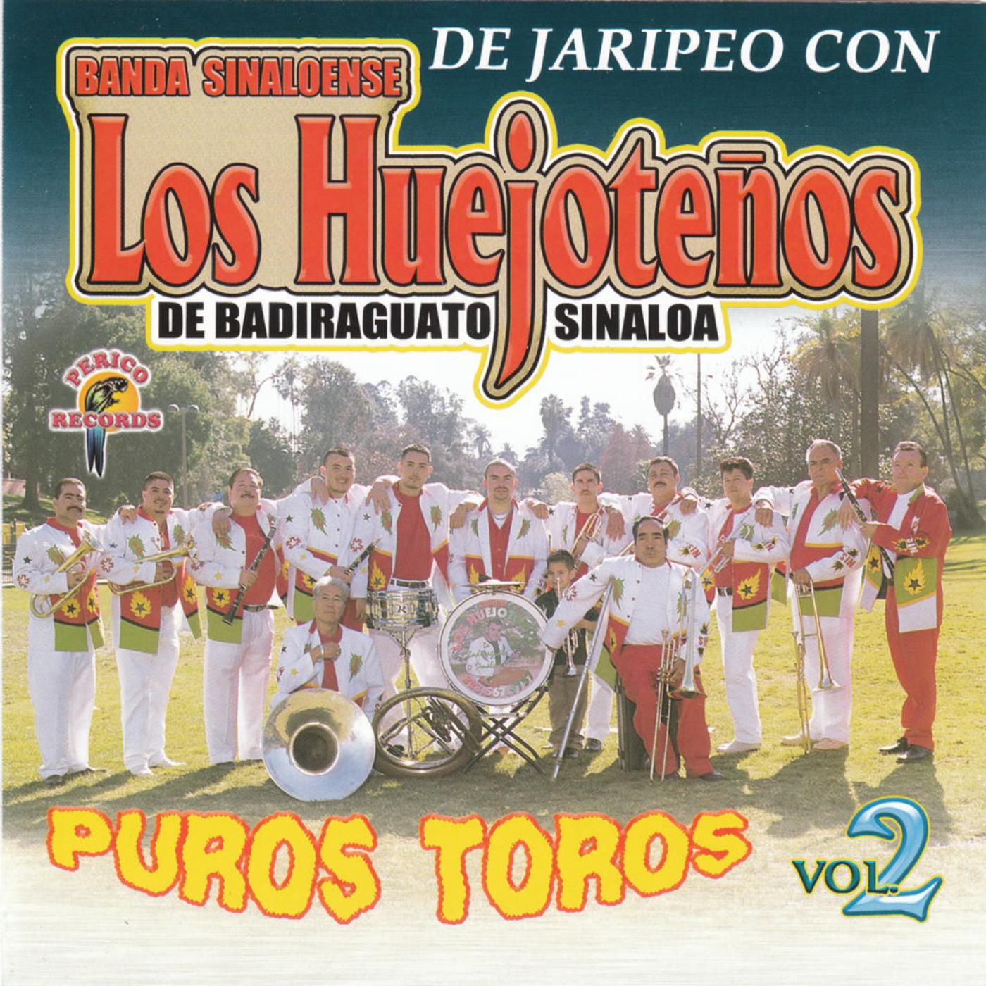 Banda Los Huejoteños - La Cuichi
